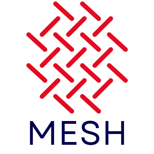 Mesh Digital Product Consulting