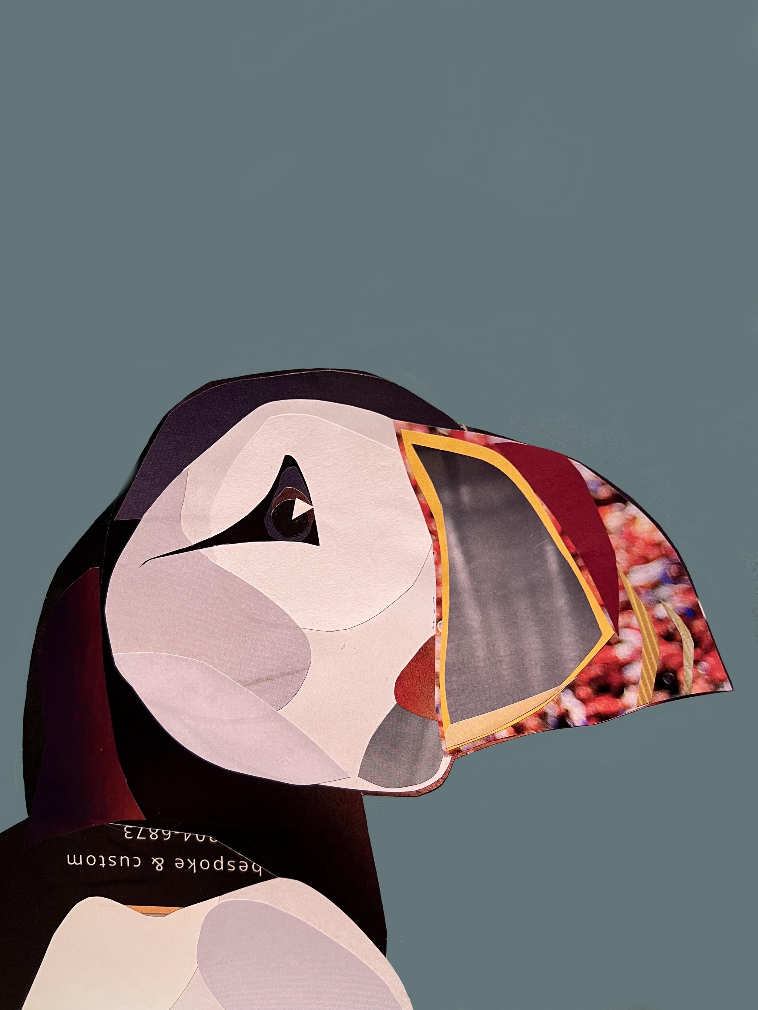 Puffin