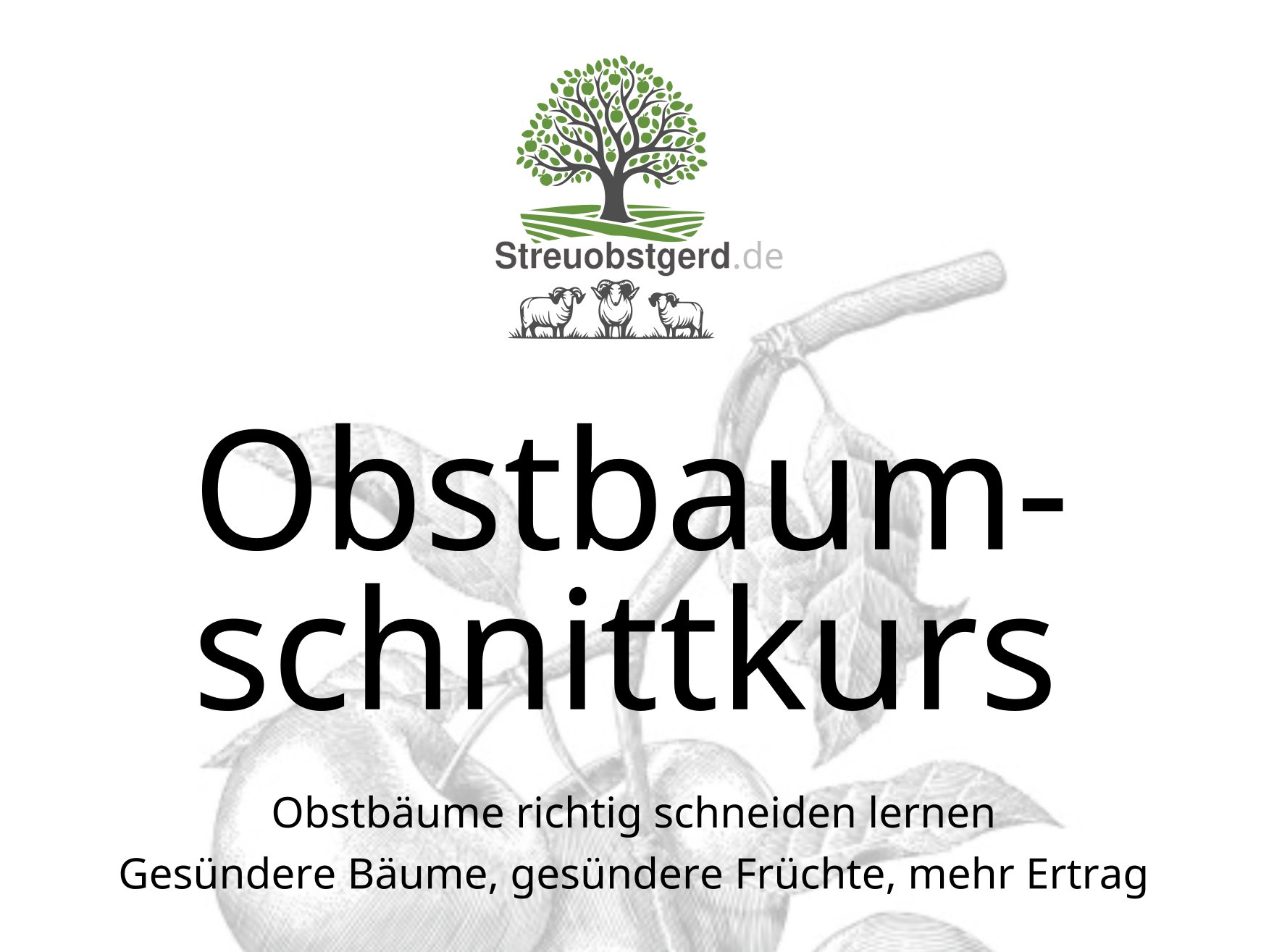 Neue Schnittkurse verfügbar!