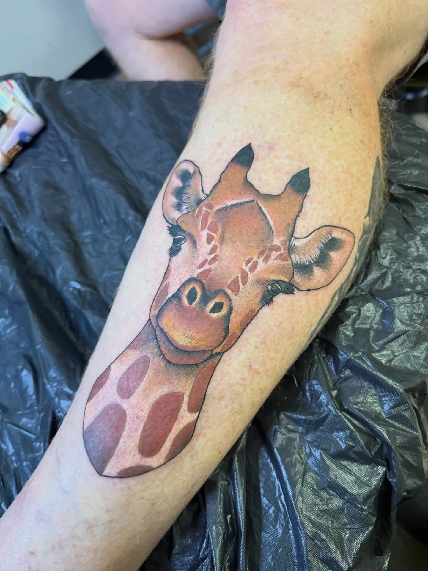Bob got this sweet baby giraffe 🥰✨💖

#ashleyhensontattoo #summervillesc #summervilletattooartist #charlestonsc #charlestontattoos