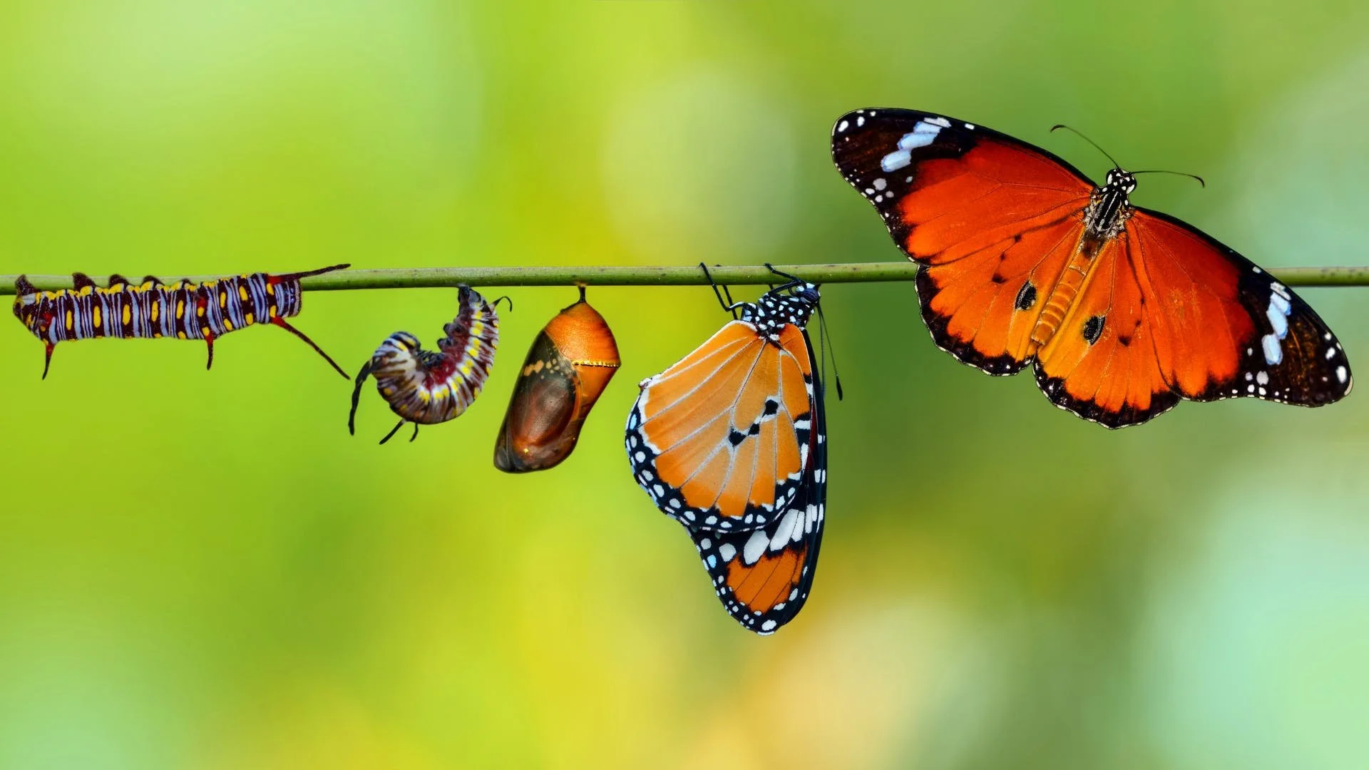 Evelolving Challenges Living Means Evolving... — SocialTime