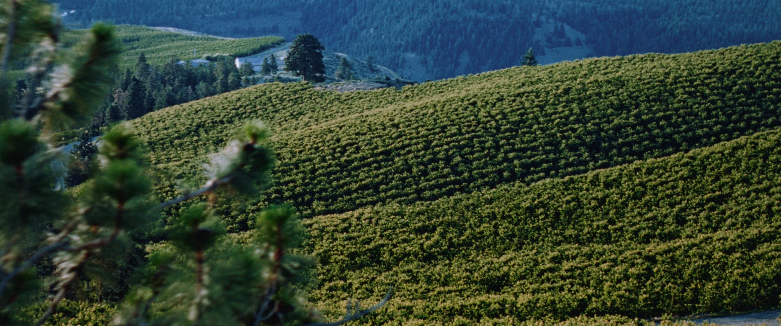 Still 2025-11-04 214923_1.1.13.jpg