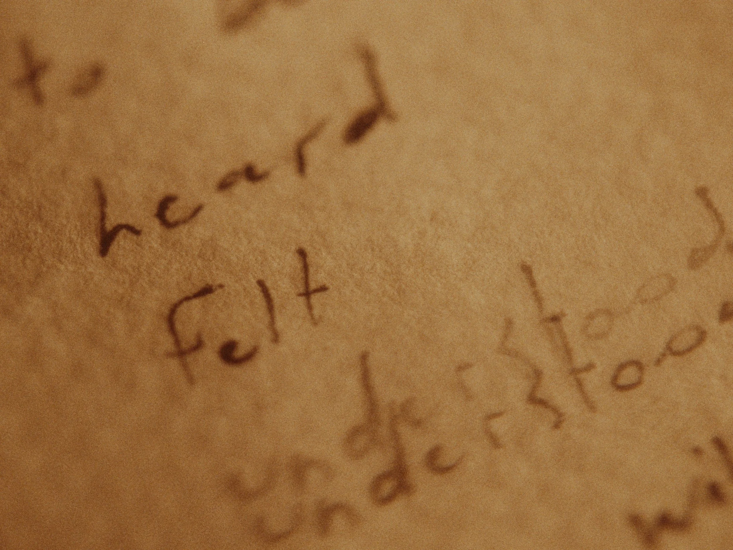 Still 2026-02-03 222248_3.12.1.jpg