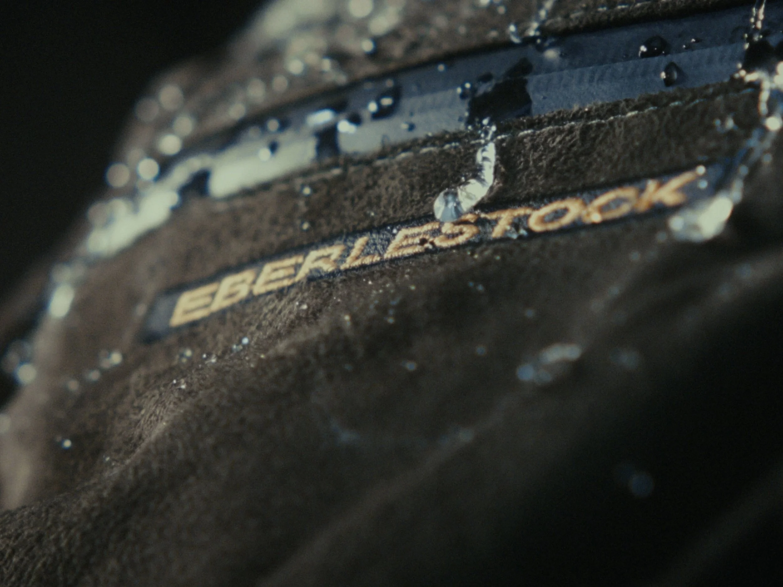 Still 2025-11-12 200006_1.1.42.jpg