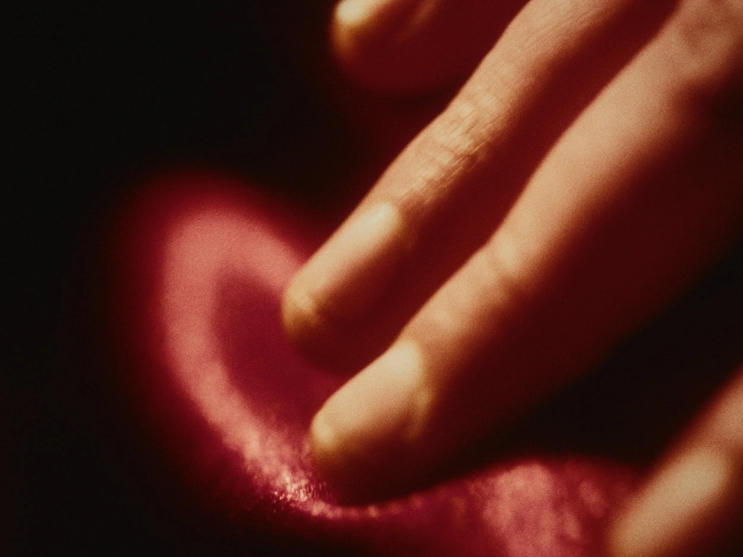 Still 2026-02-03 222248_3.8.1.jpg