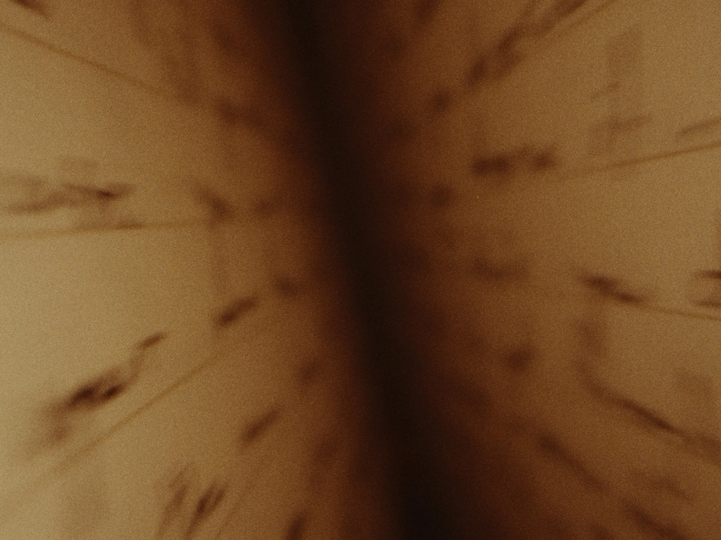 Still 2026-02-03 222248_3.13.1.jpg