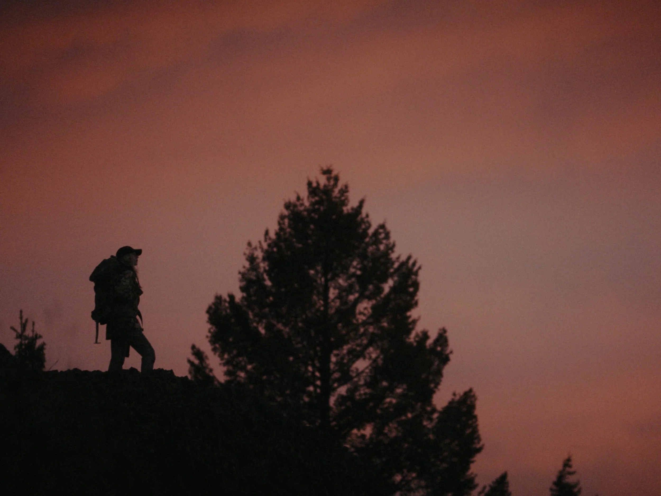 Still 2025-11-12 200006_1.1.36.jpg