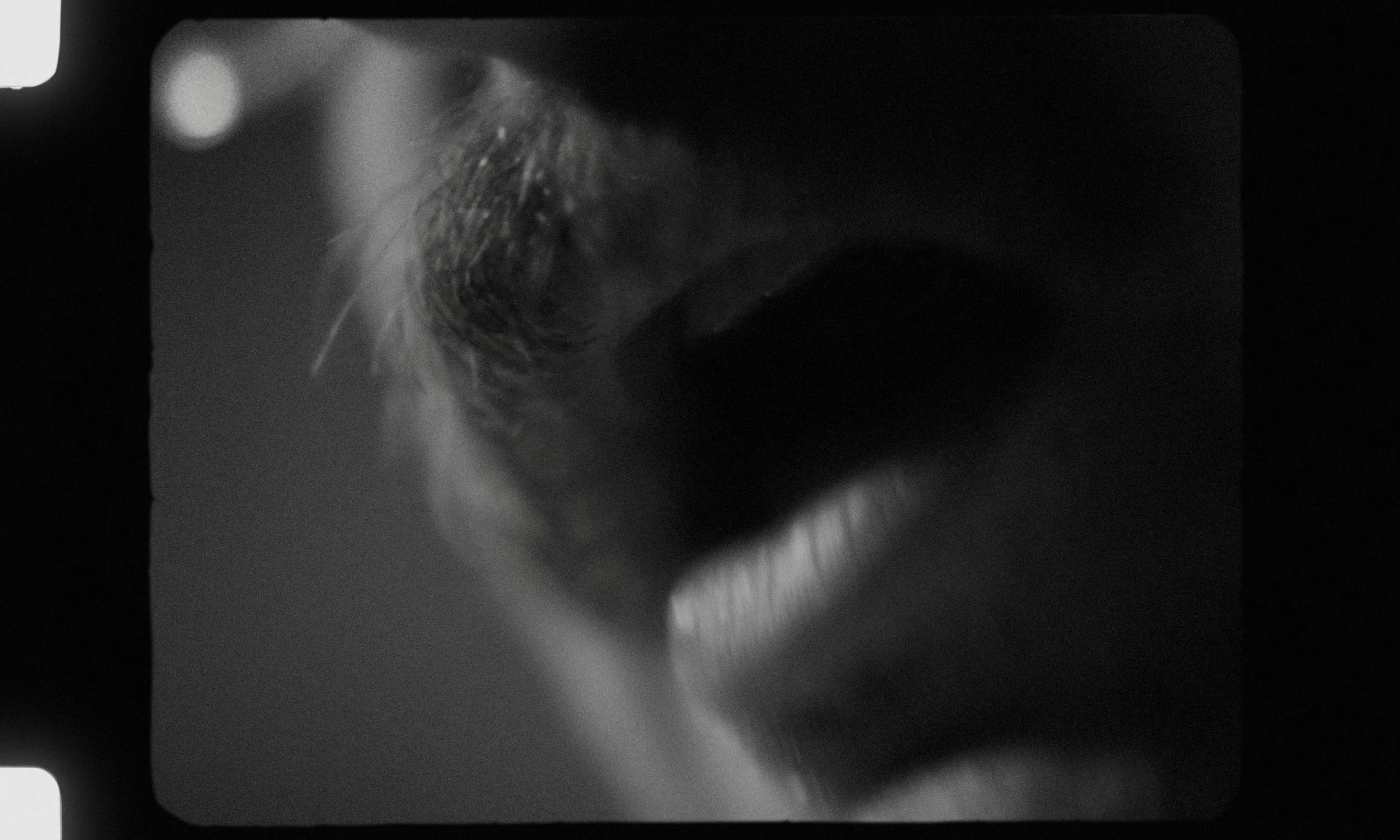 Still 2024-11-11 214207_1.1.8.jpg