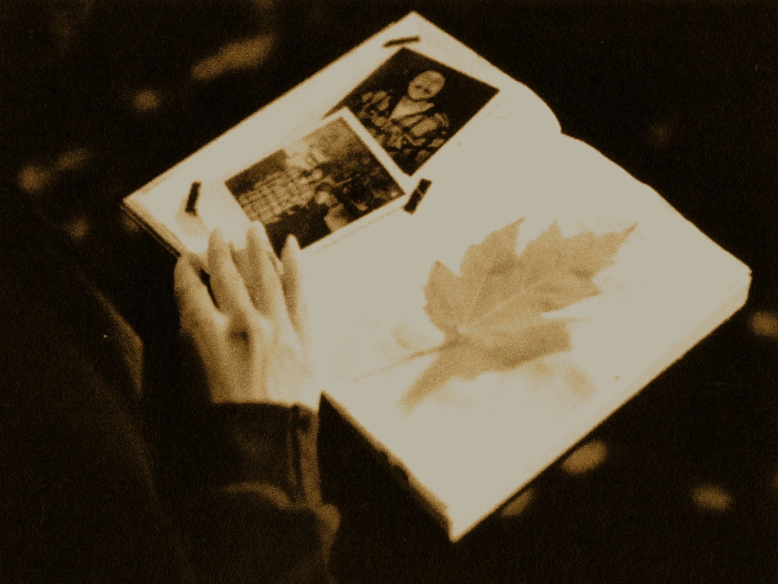 Still 2025-11-20 174559_2.1.1.jpg