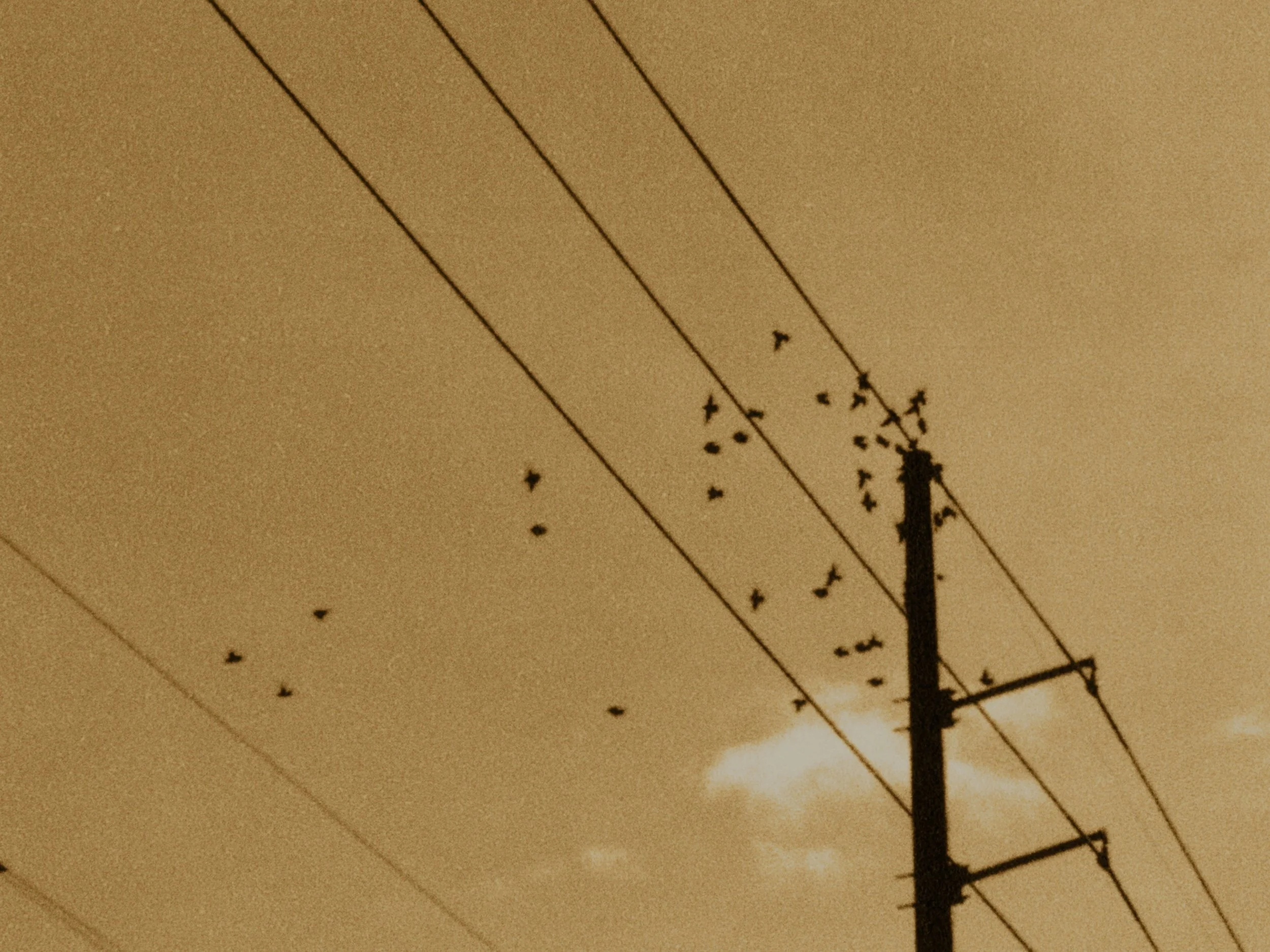 Still 2025-11-20 174559_2.1.31.jpg