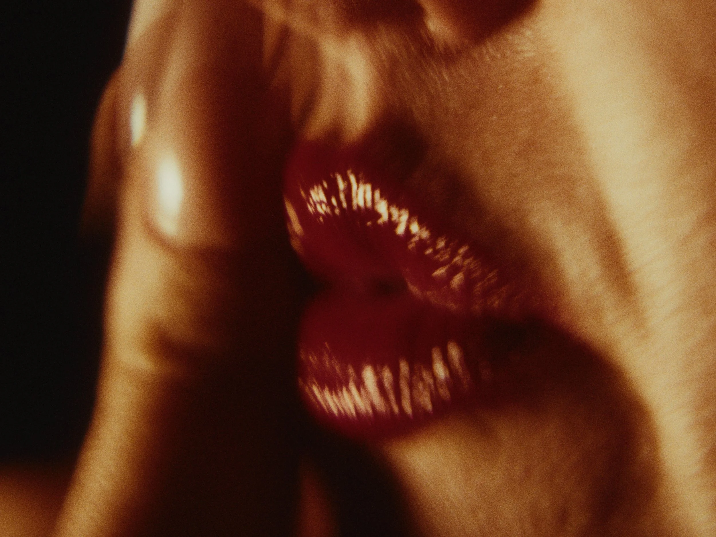 Still 2026-02-03 222248_3.9.1.jpg