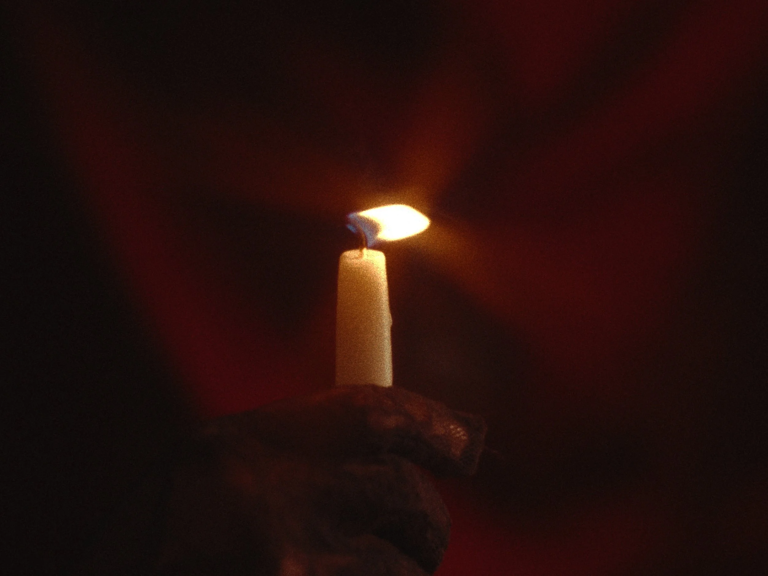 Still 2026-02-03 222248_2.1.1.jpg