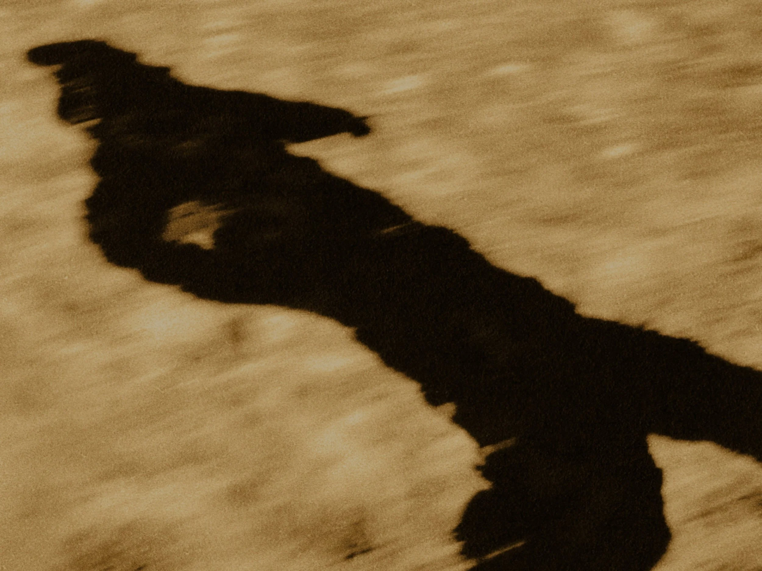 Still 2025-11-20 174559_2.1.35.jpg