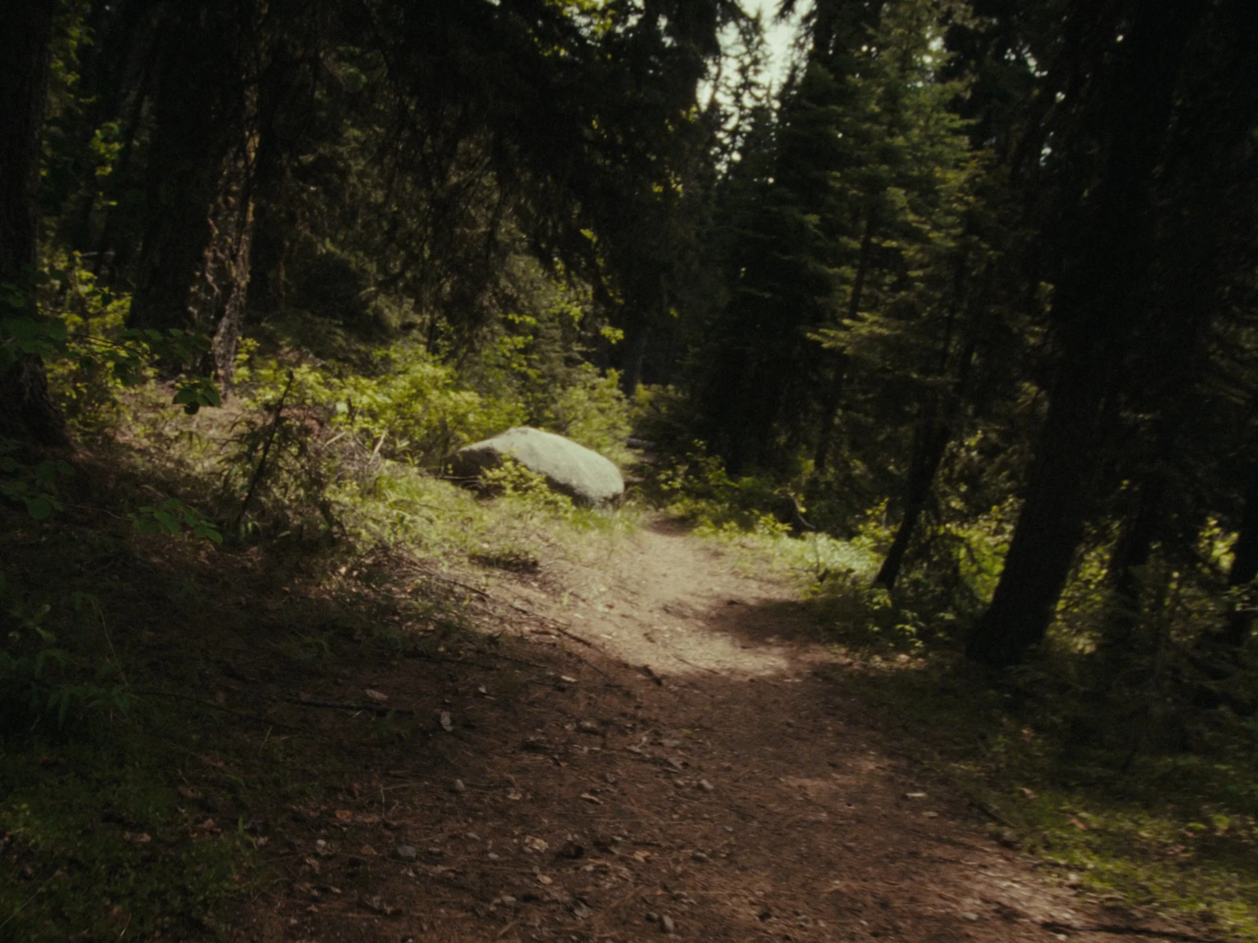 Still 2025-11-12 200006_1.1.17.jpg