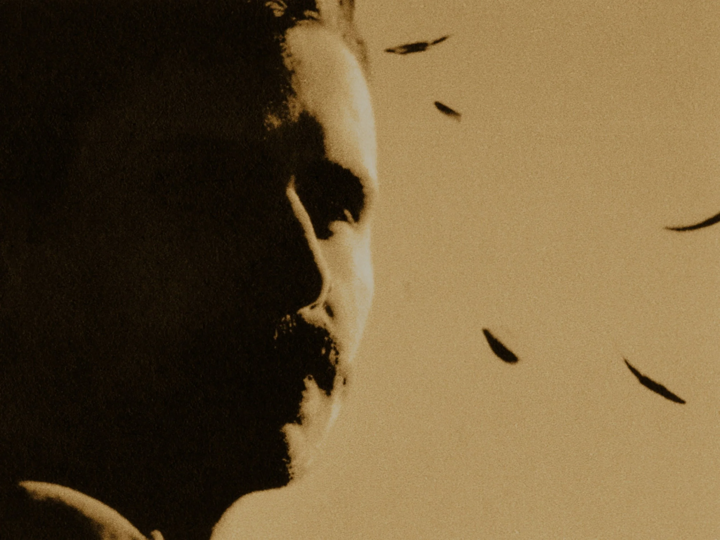 Still 2025-11-20 174559_2.1.32.jpg