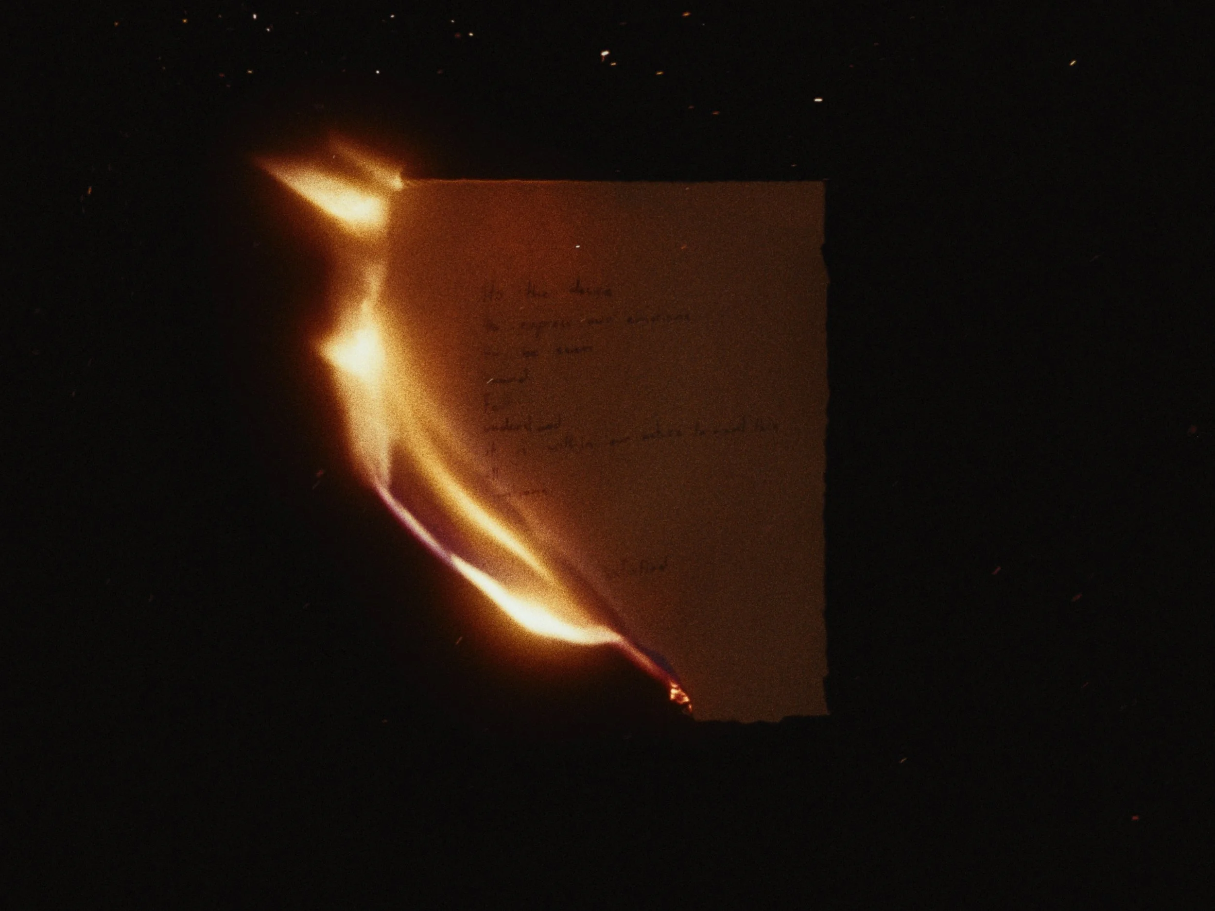 Still 2026-02-03 222248_3.14.2.jpg