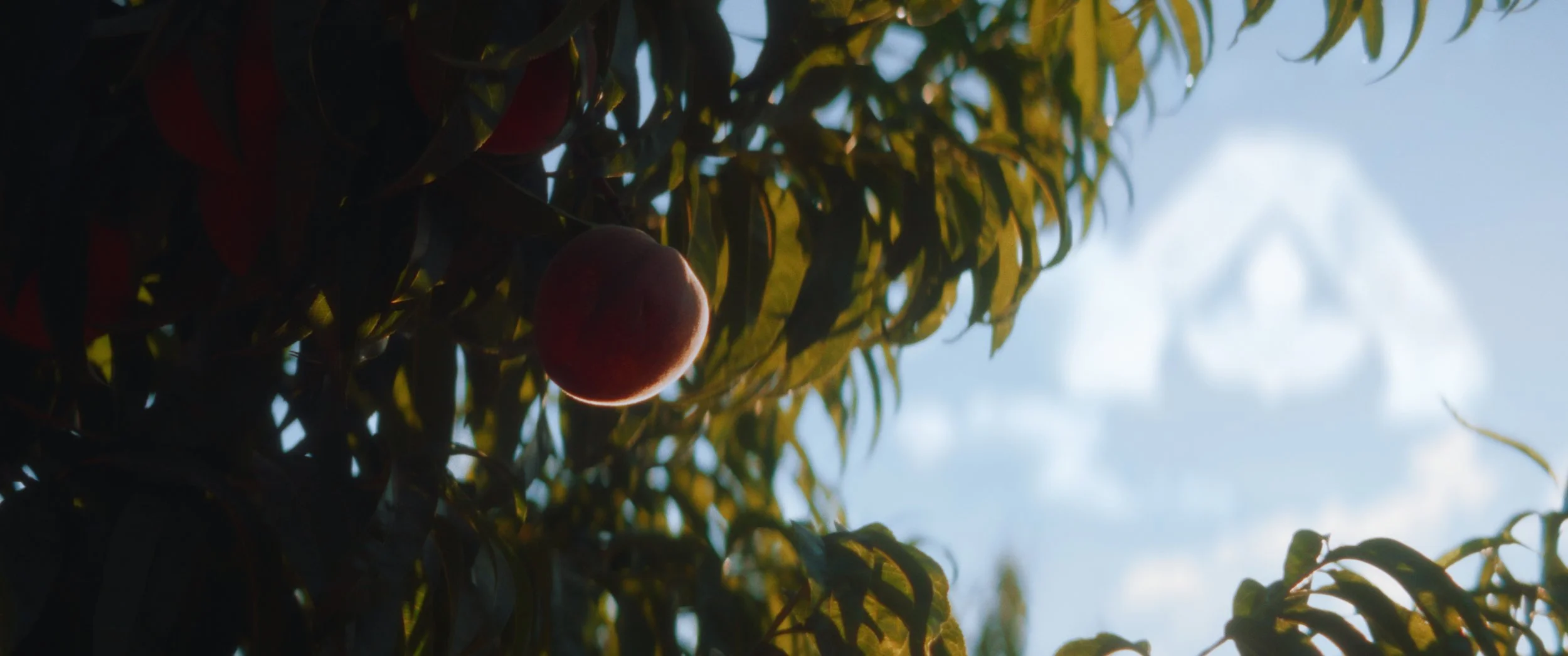 Still 2025-11-04 214923_1.1.9.jpg