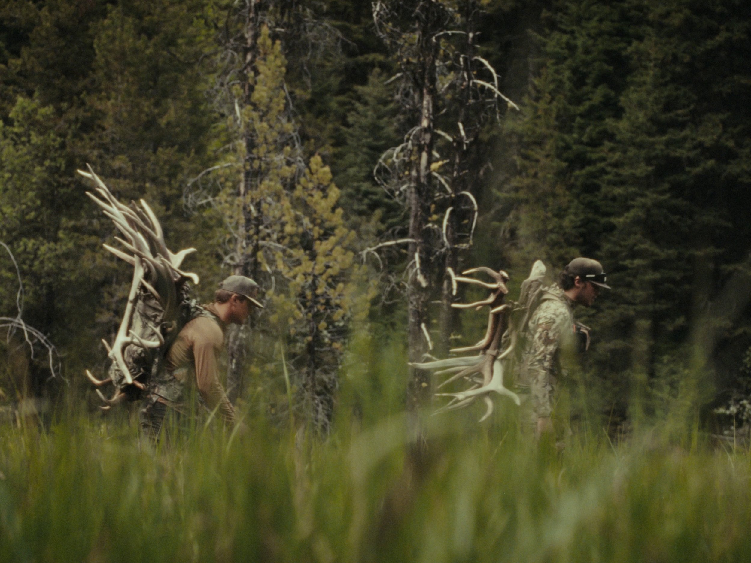 Still 2025-11-12 200006_1.1.27.jpg