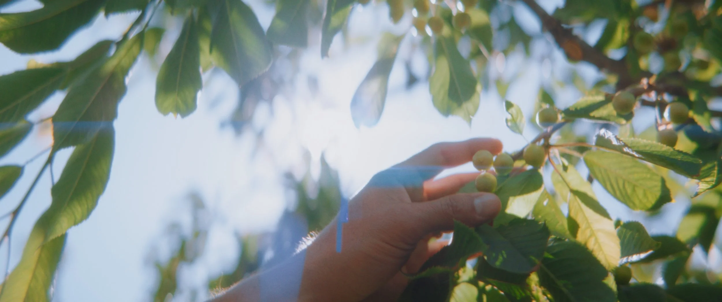 Still 2025-11-04 214923_1.1.15.jpg