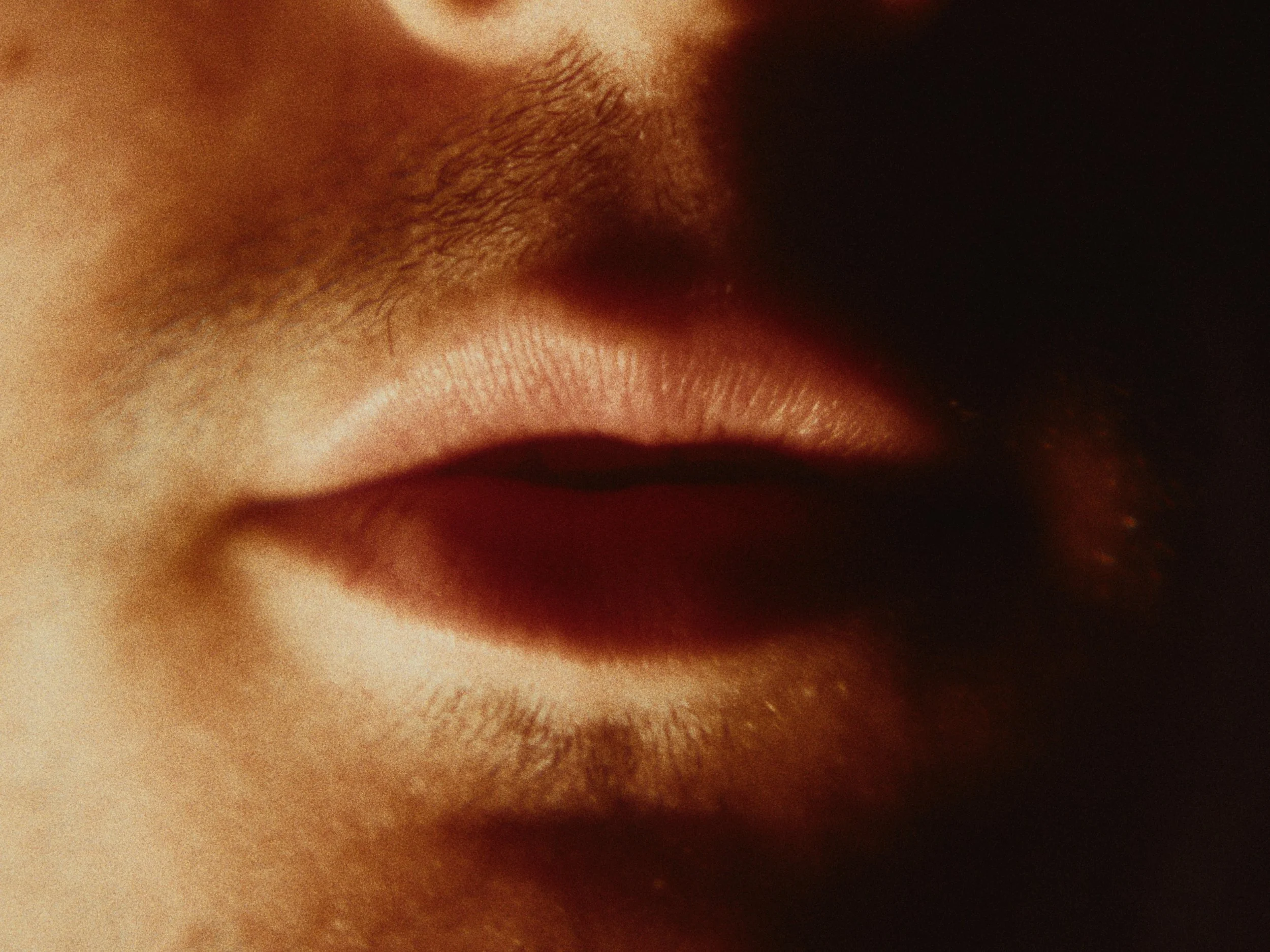 Still 2026-02-03 222248_2.4.1.jpg