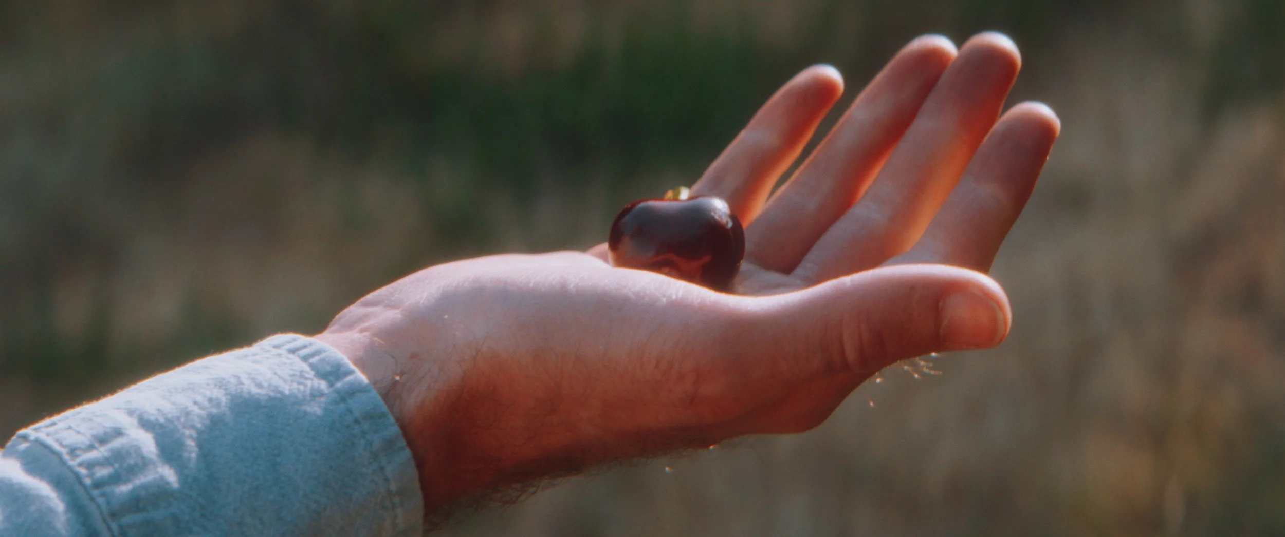 Still 2025-11-04 214923_1.1.17.jpg