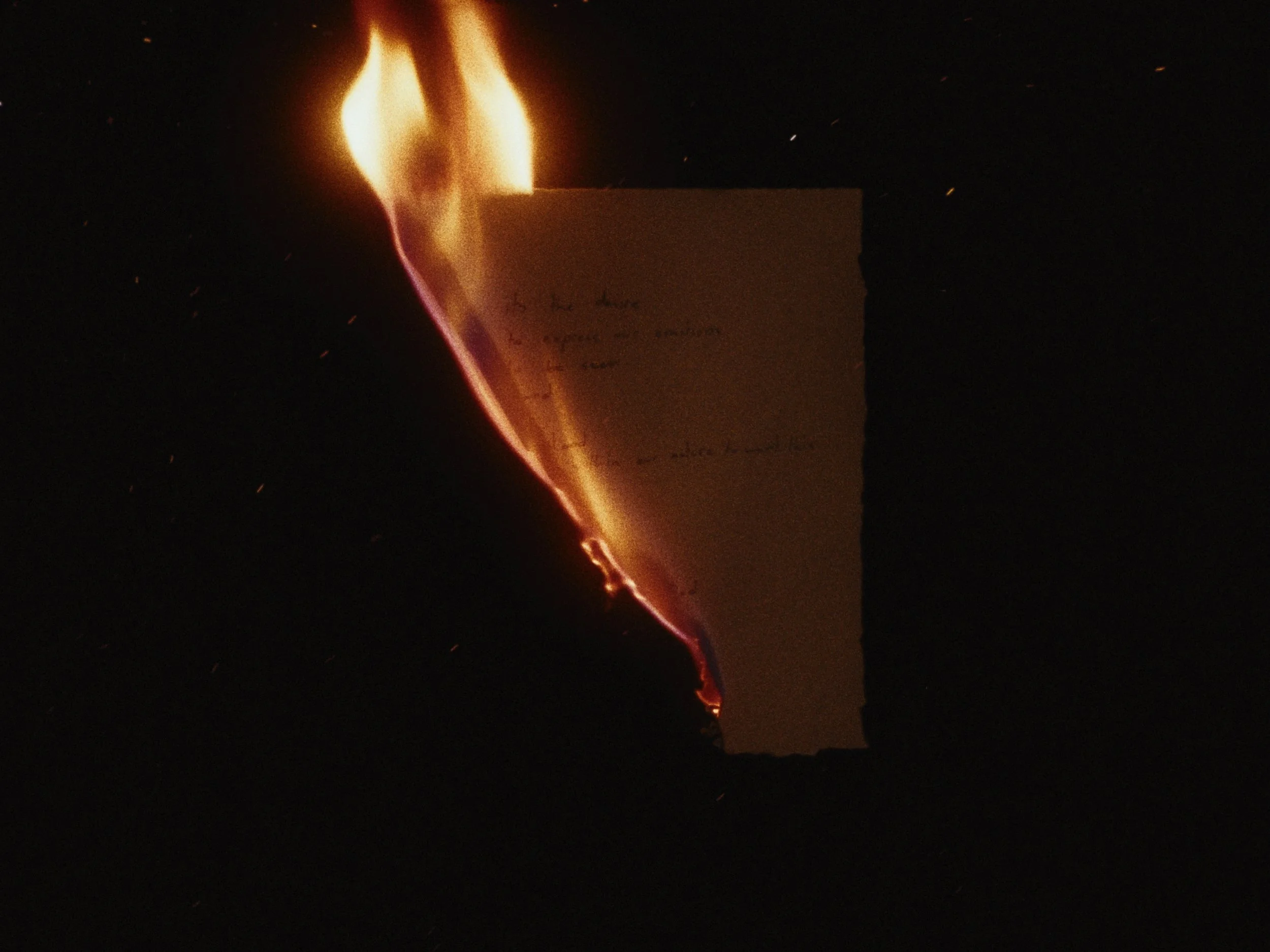 Still 2026-02-03 222248_3.14.1.jpg