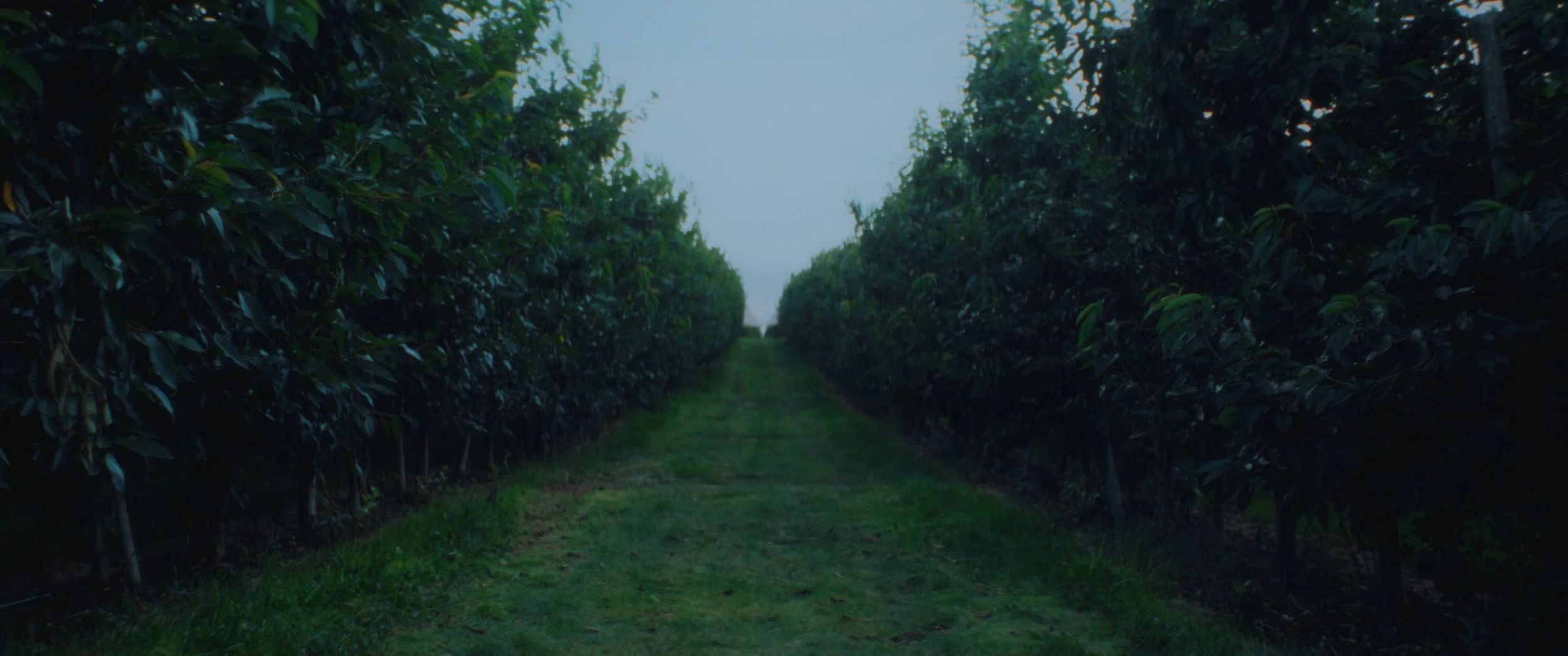 Still 2025-11-04 214923_1.1.1.jpg