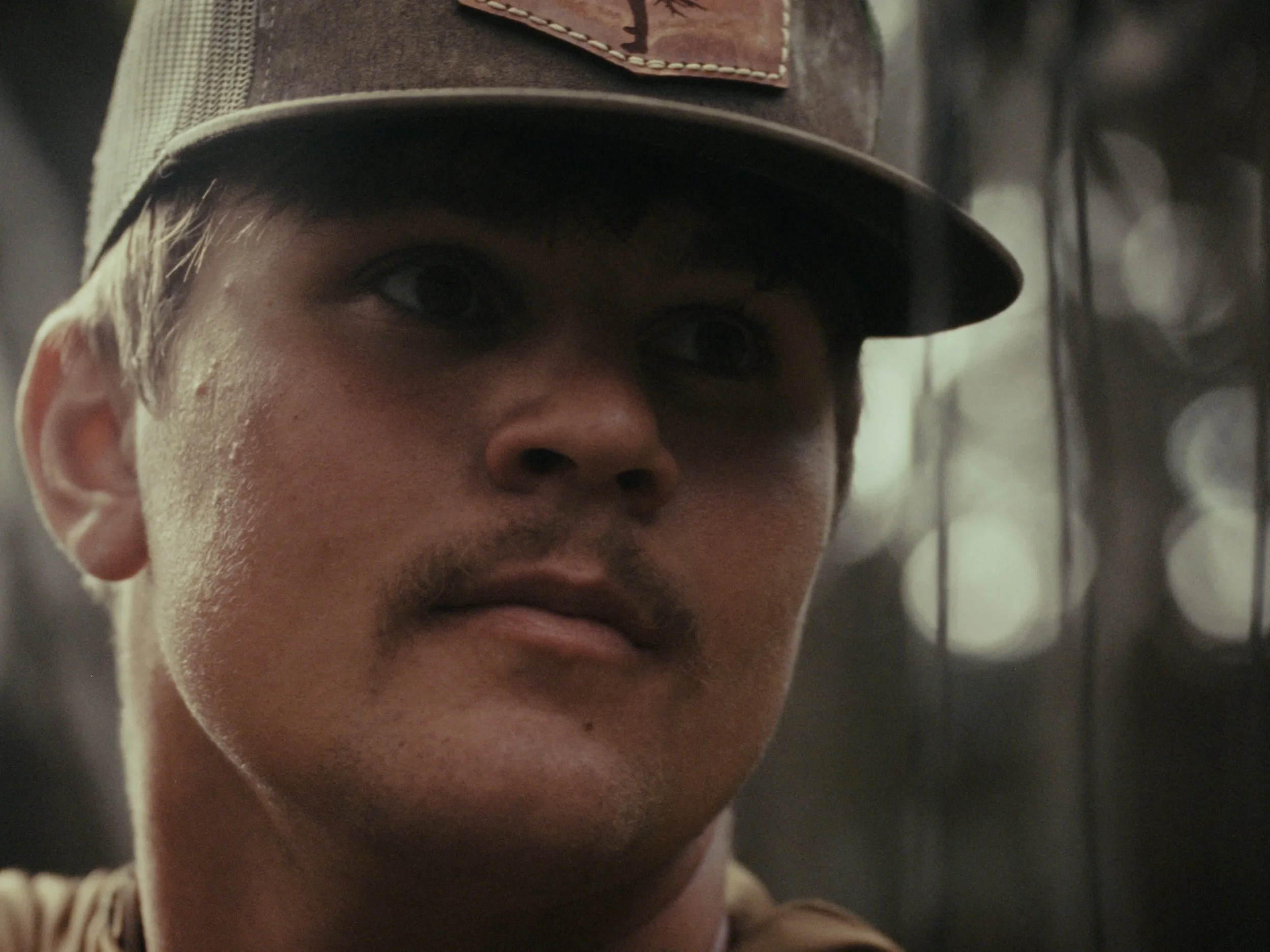 Still 2025-11-12 200006_1.1.33.jpg