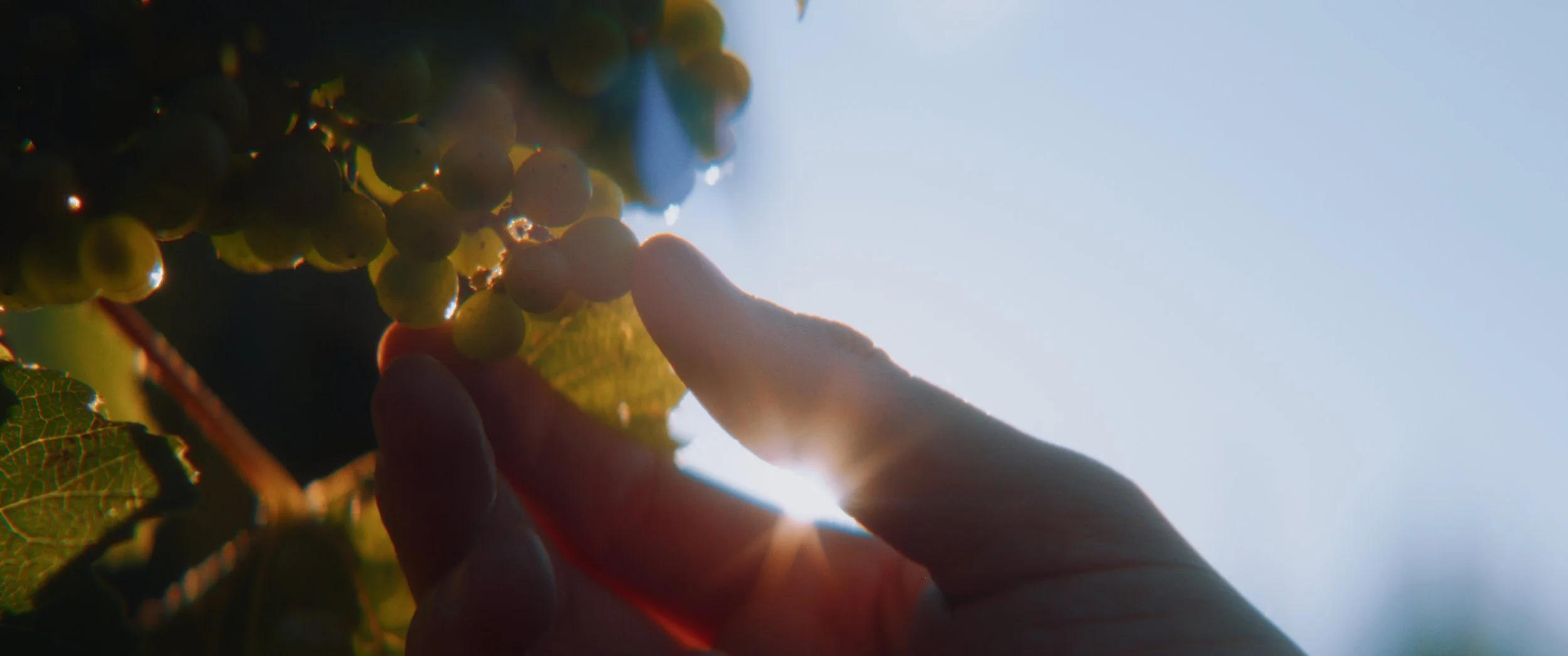 Still 2025-11-04 214923_1.1.19.jpg