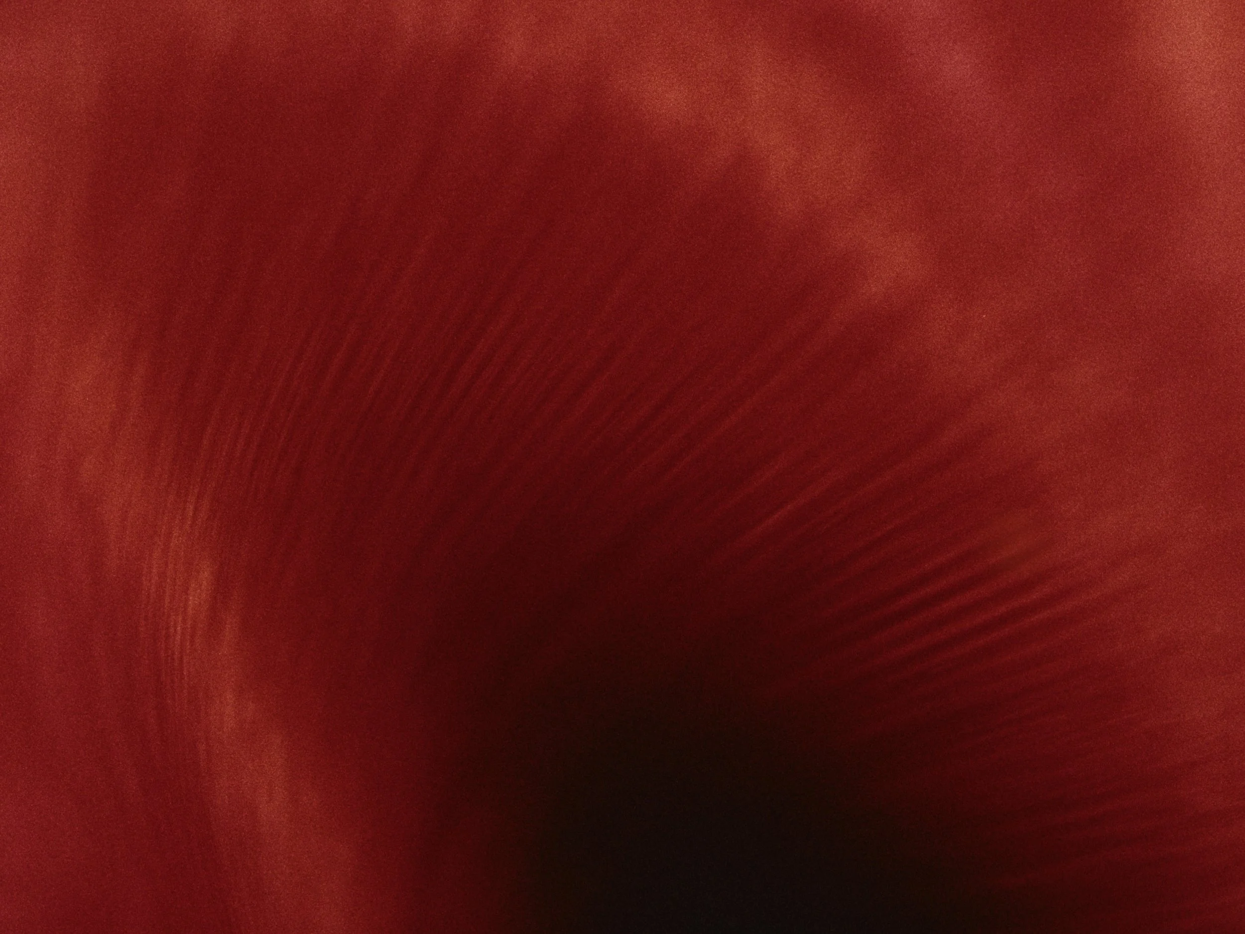 Still 2026-02-03 222248_4.2.1.jpg