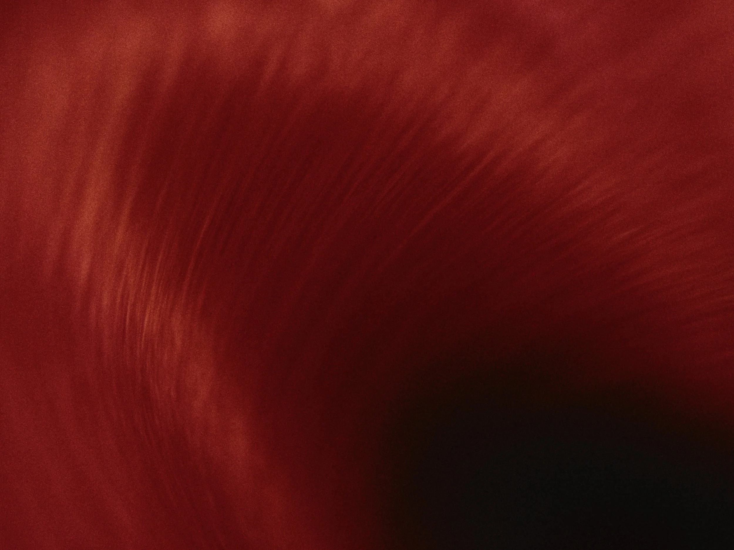 Still 2026-02-03 222248_3.1.1.jpg