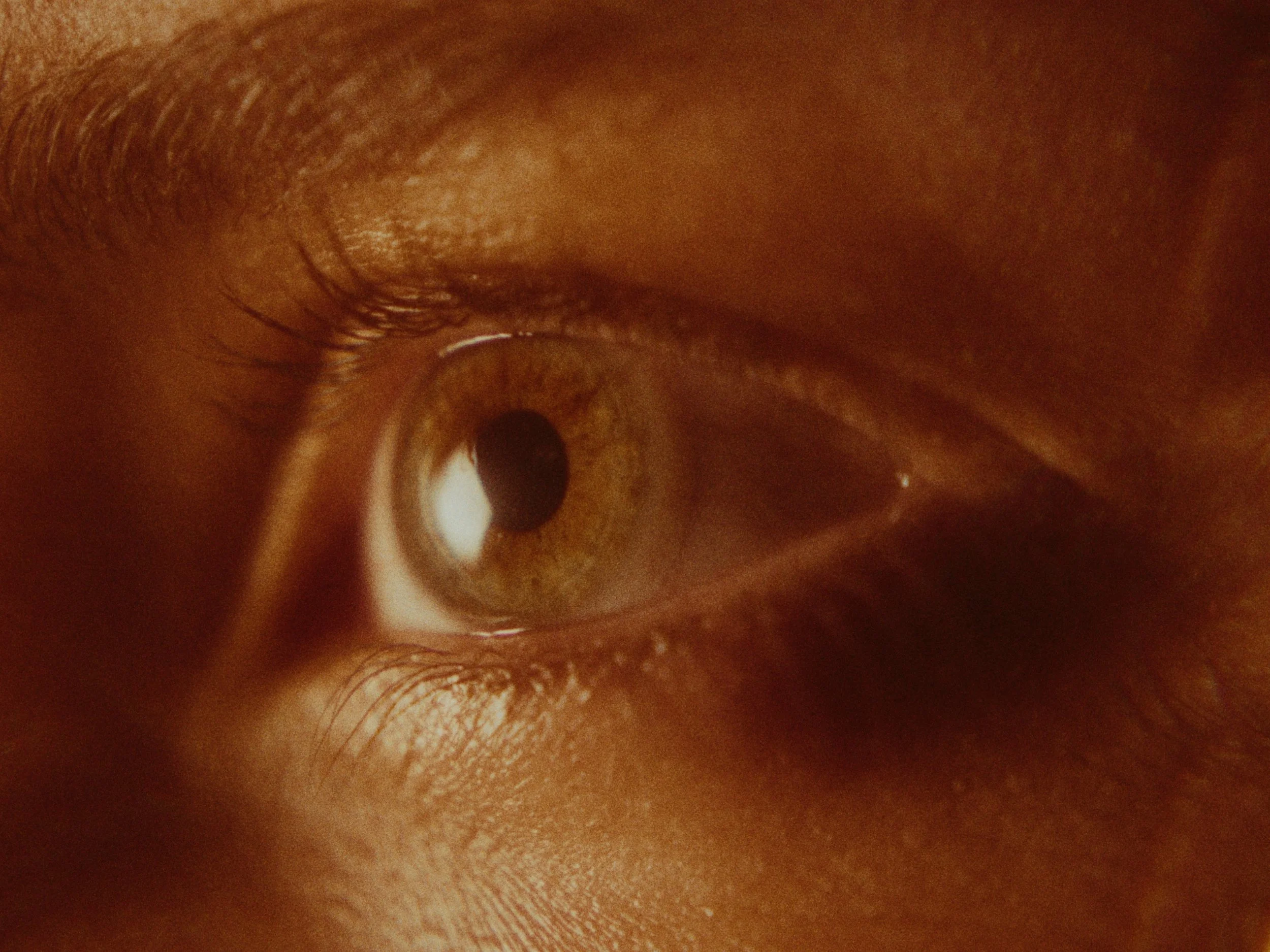 Still 2026-02-03 222248_2.5.1.jpg