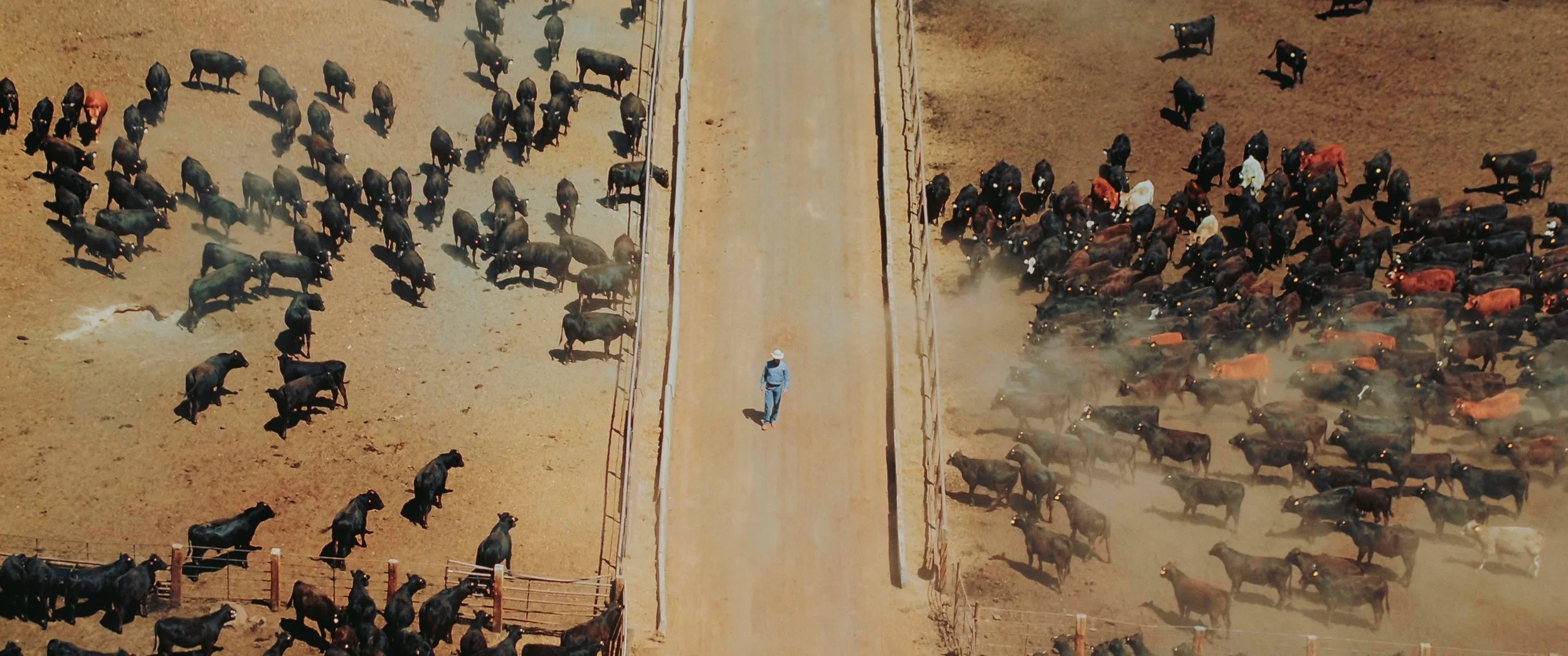 Still 2025-11-04 214923_1.1.12.jpg