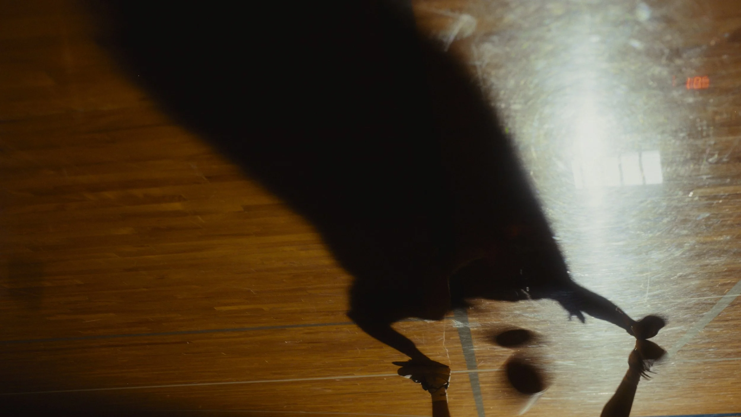 Still 2025-11-12 203529_1.7.4.jpg