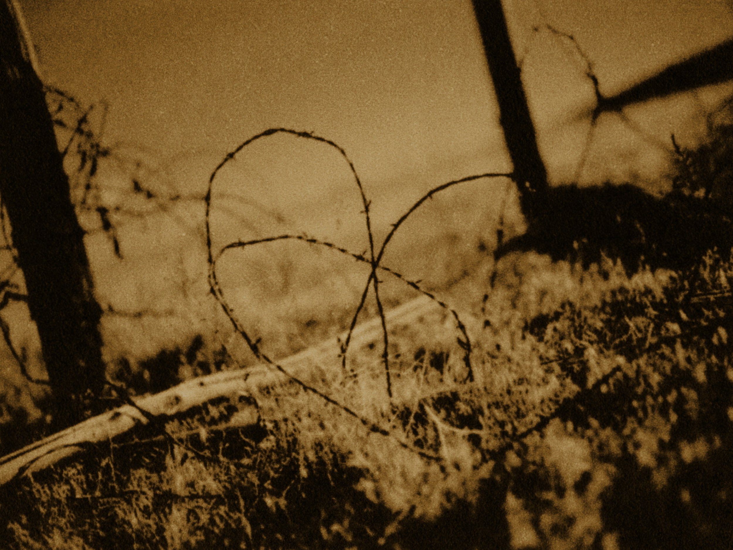 Still 2025-11-20 174559_2.1.8.jpg