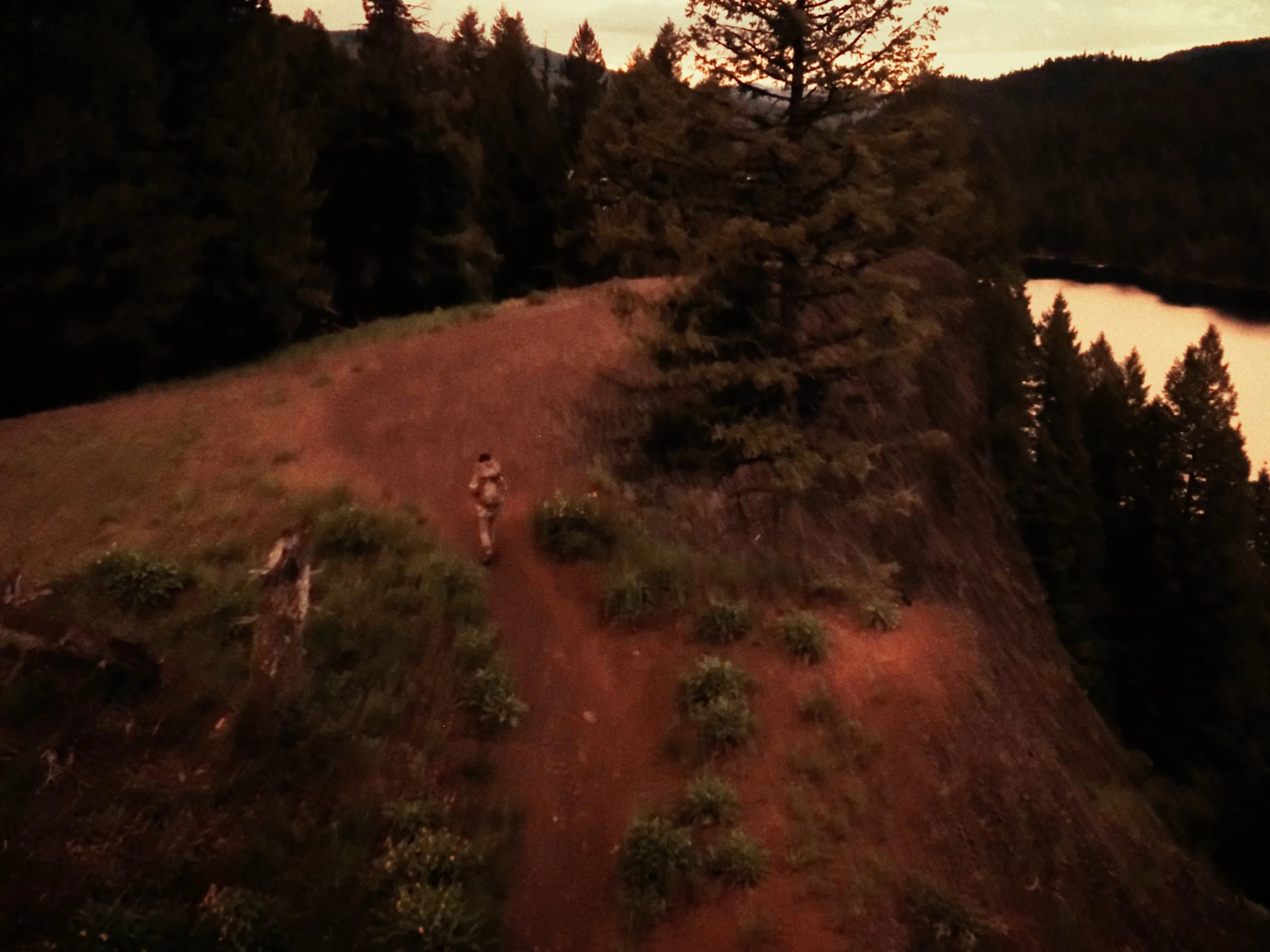 Still 2025-11-12 200006_1.1.35.jpg