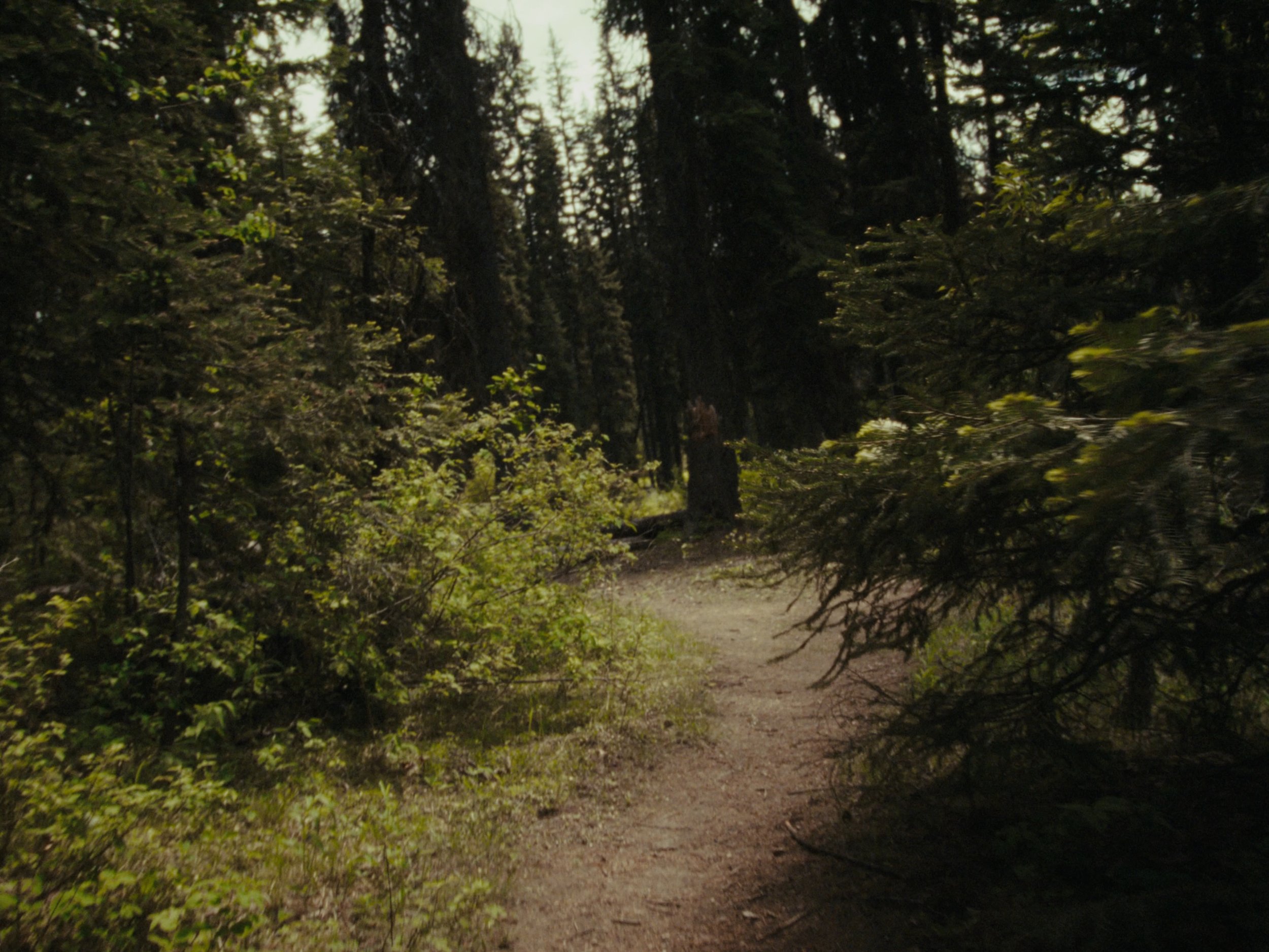 Still 2025-11-12 200006_1.1.18.jpg