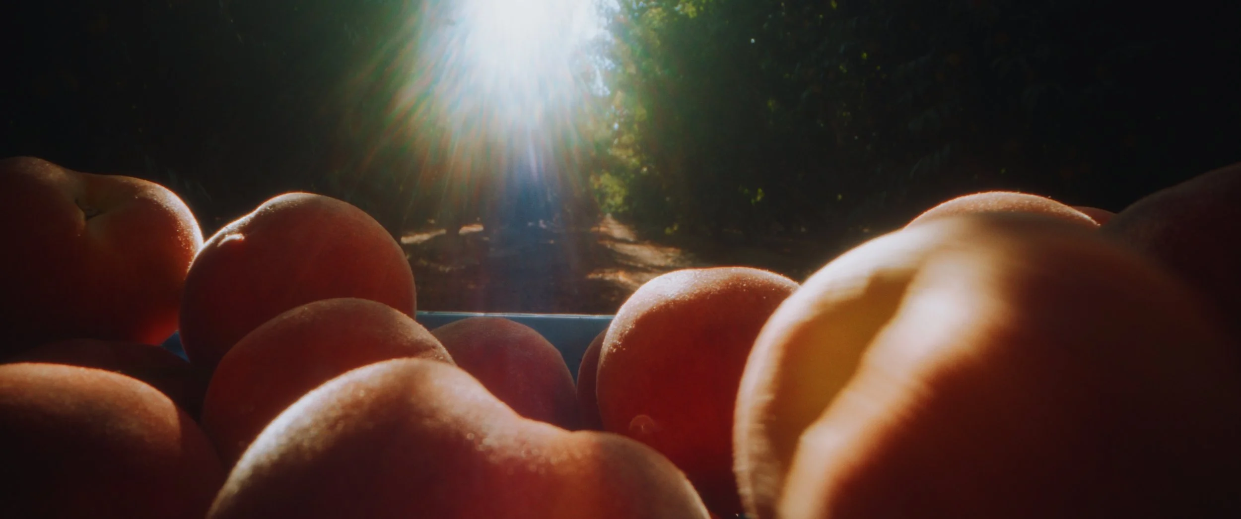 Still 2025-11-04 214923_1.1.18.jpg