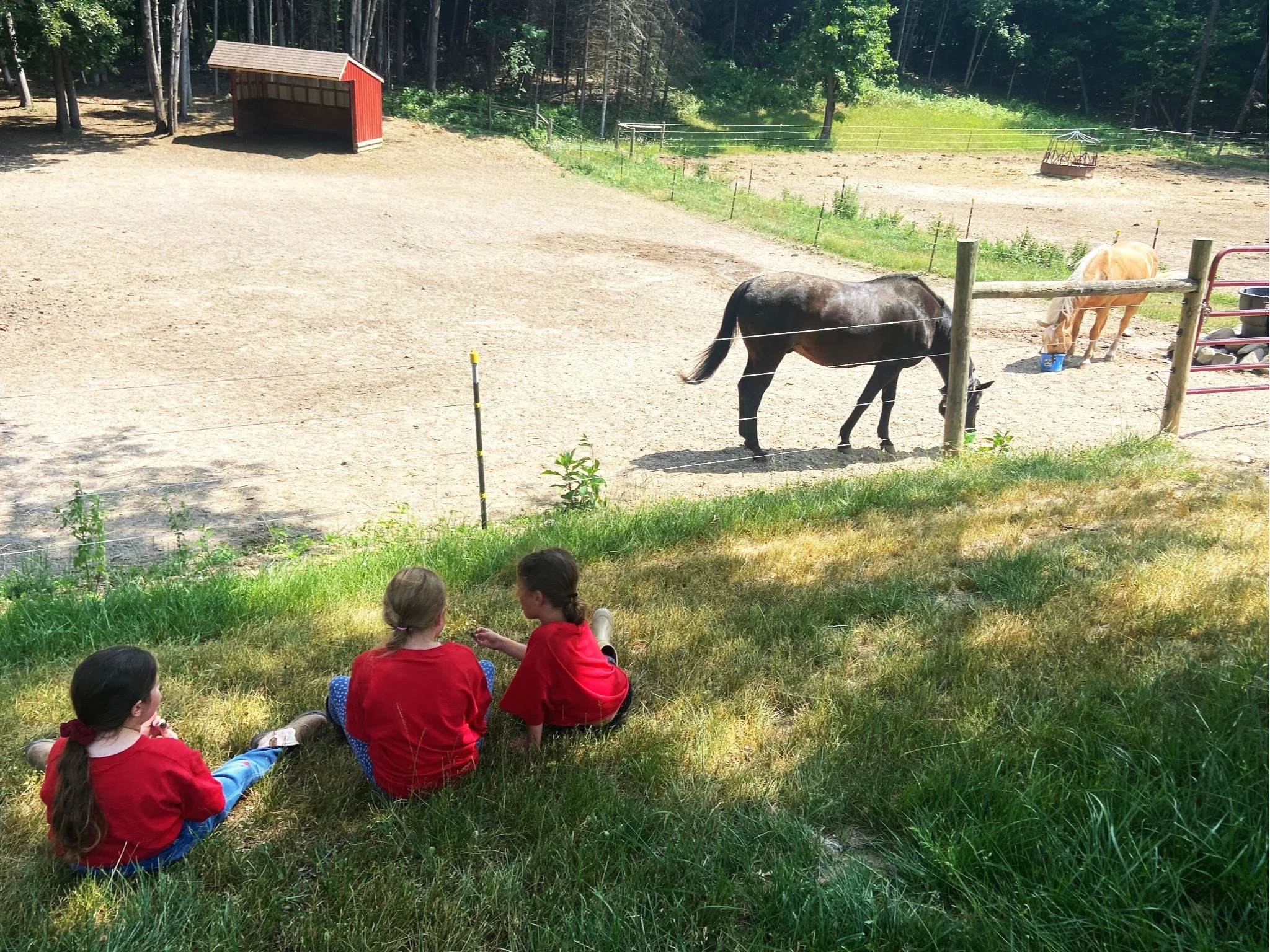 Lesson Barns Programs โ The Barn for Equine Learning