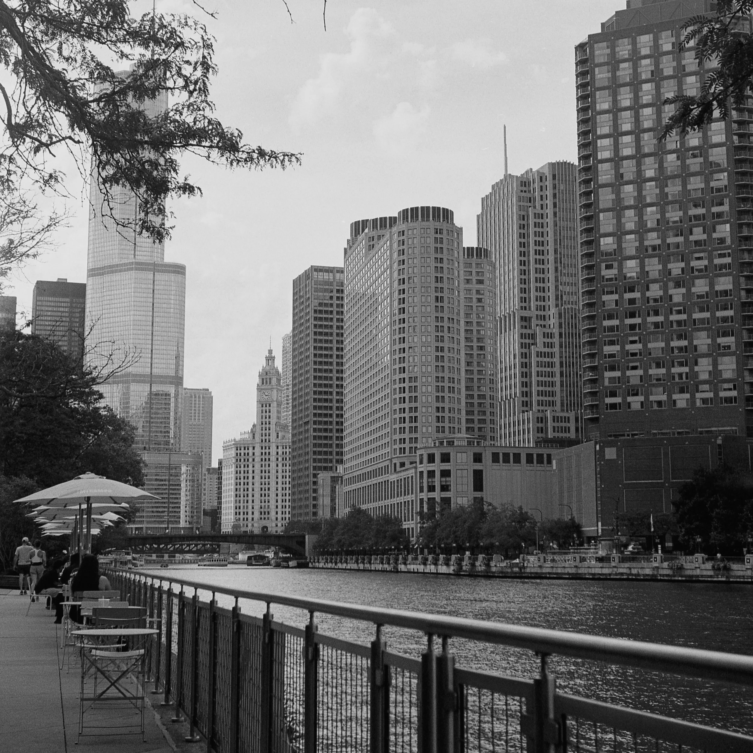 Film 2026-9-3 (9).jpg