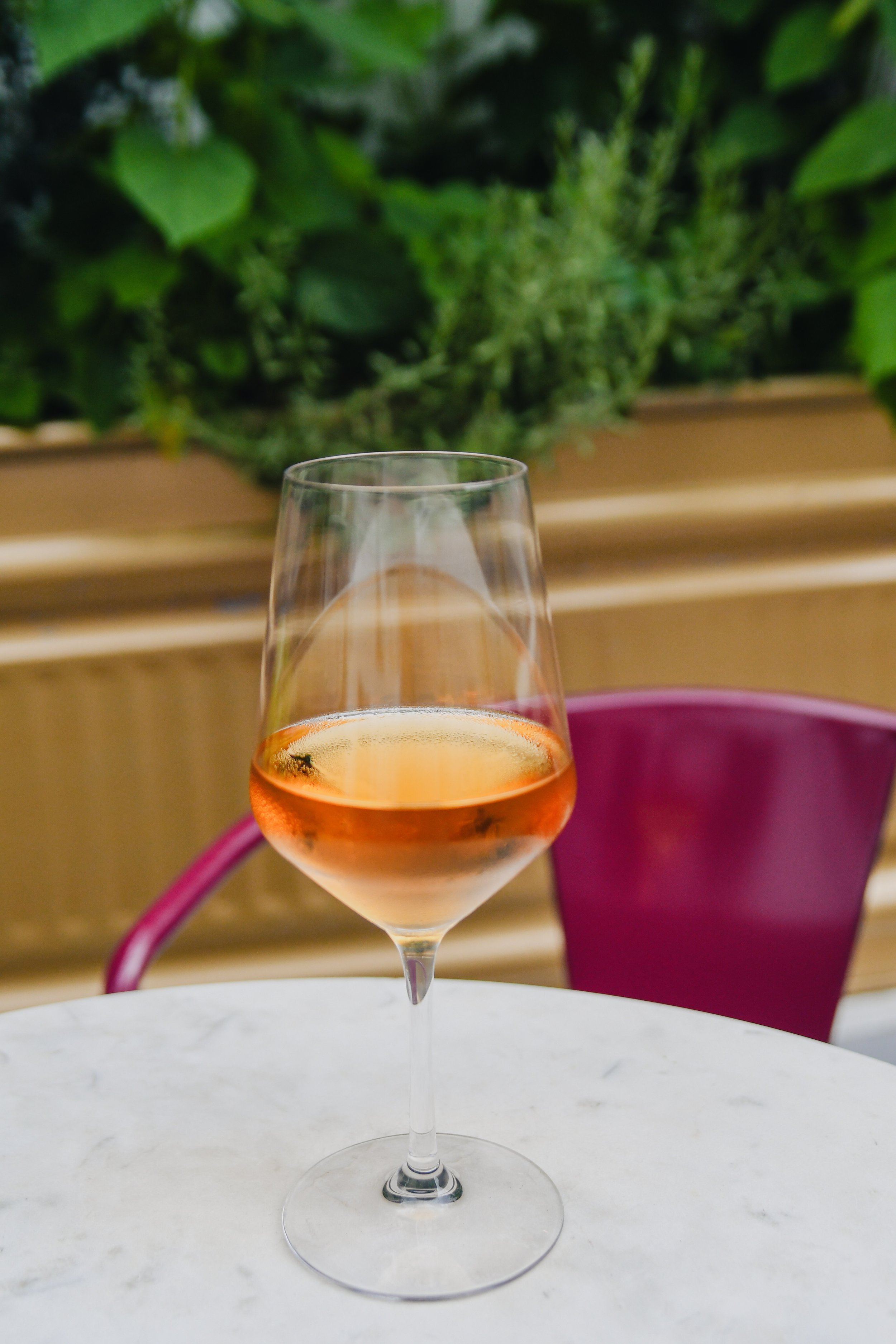 Wine Patio-websize-28.jpg