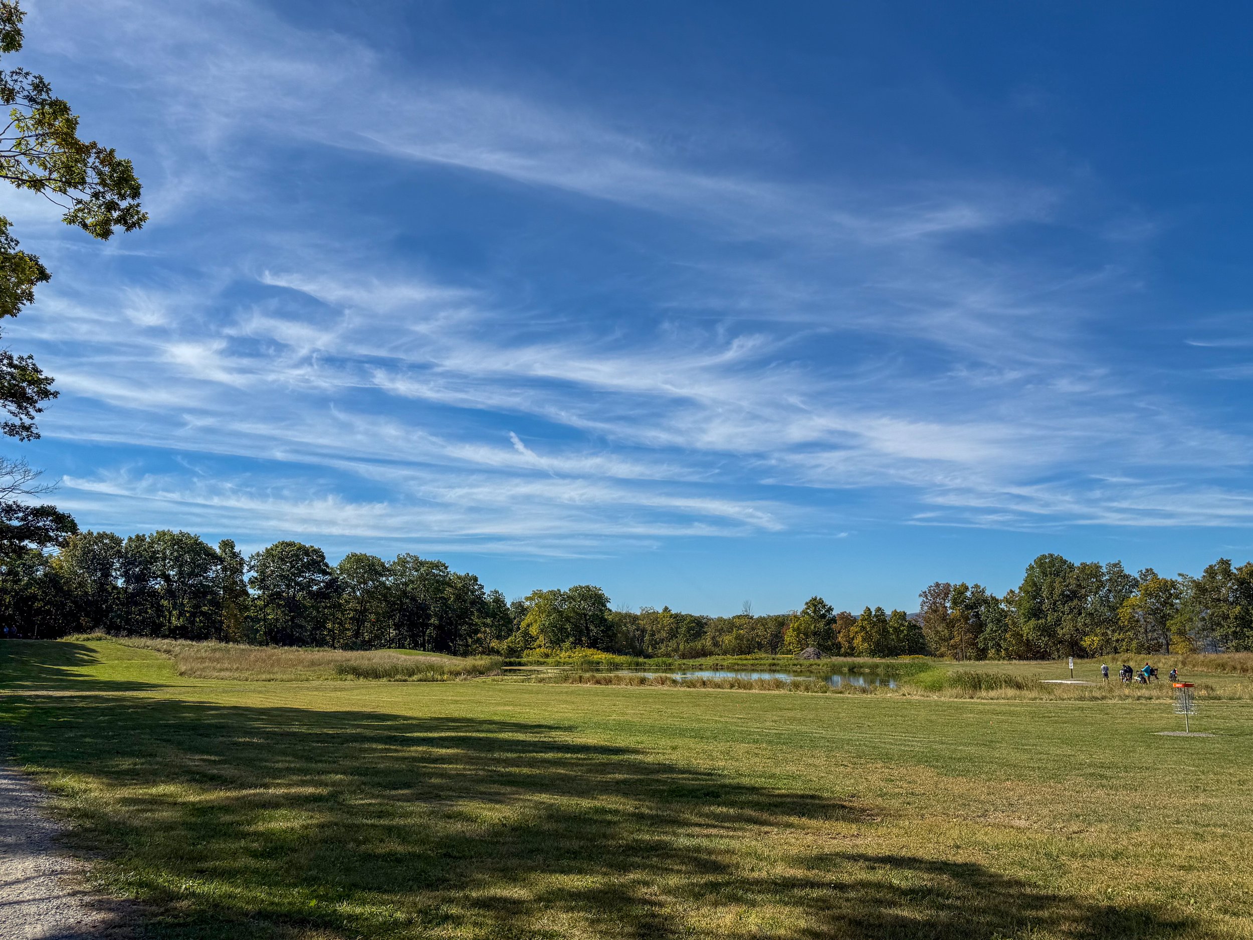 A park scene with a grassy field, a small pond, and a group of people near the pond under a blue sky with scattered clouds.
