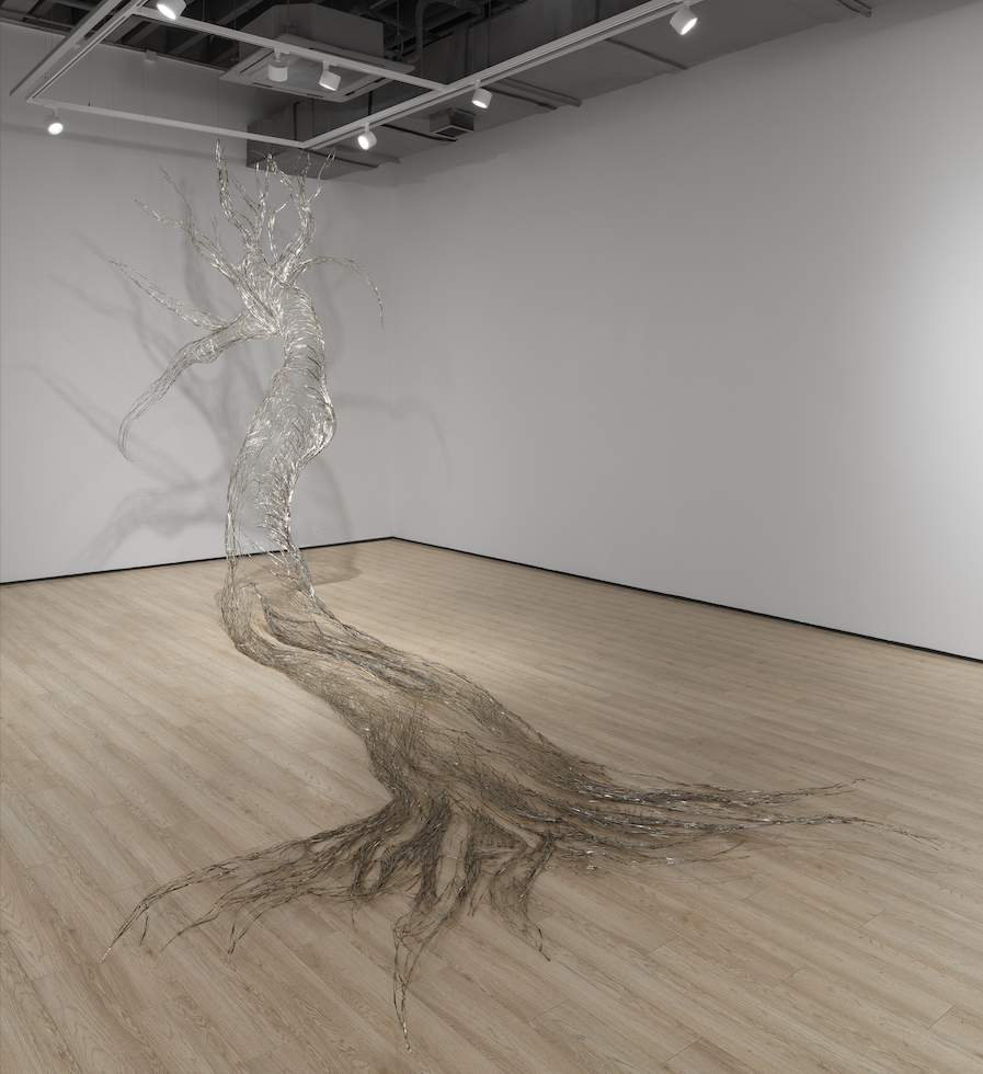 Enduring vitality (Sinh lực trường tồn), 2026, stainless steel, 760 x 265 cm