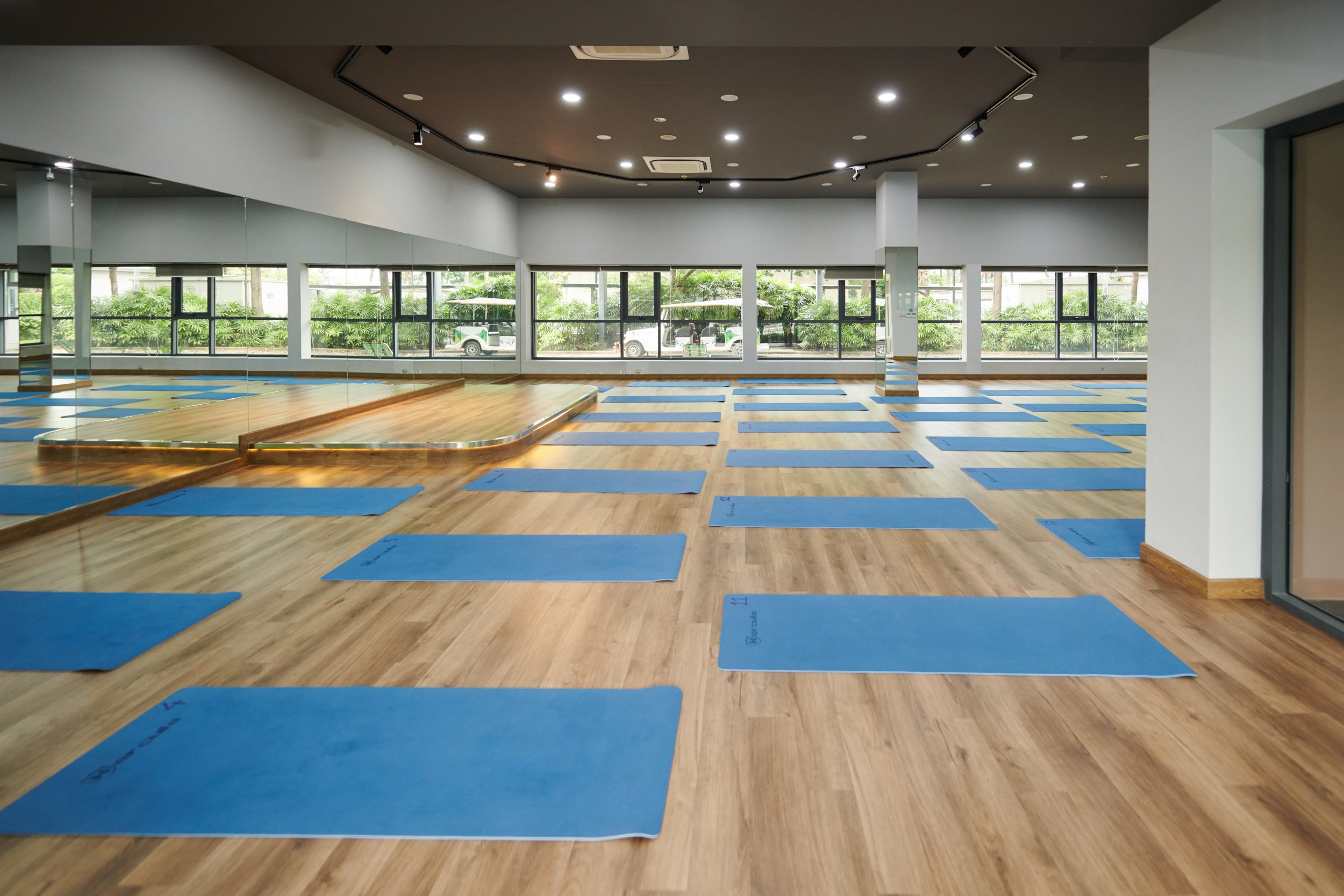 yoga-mats-rolled-out-in-in-studio-2022-08-15-16-16-45-utc.jpg