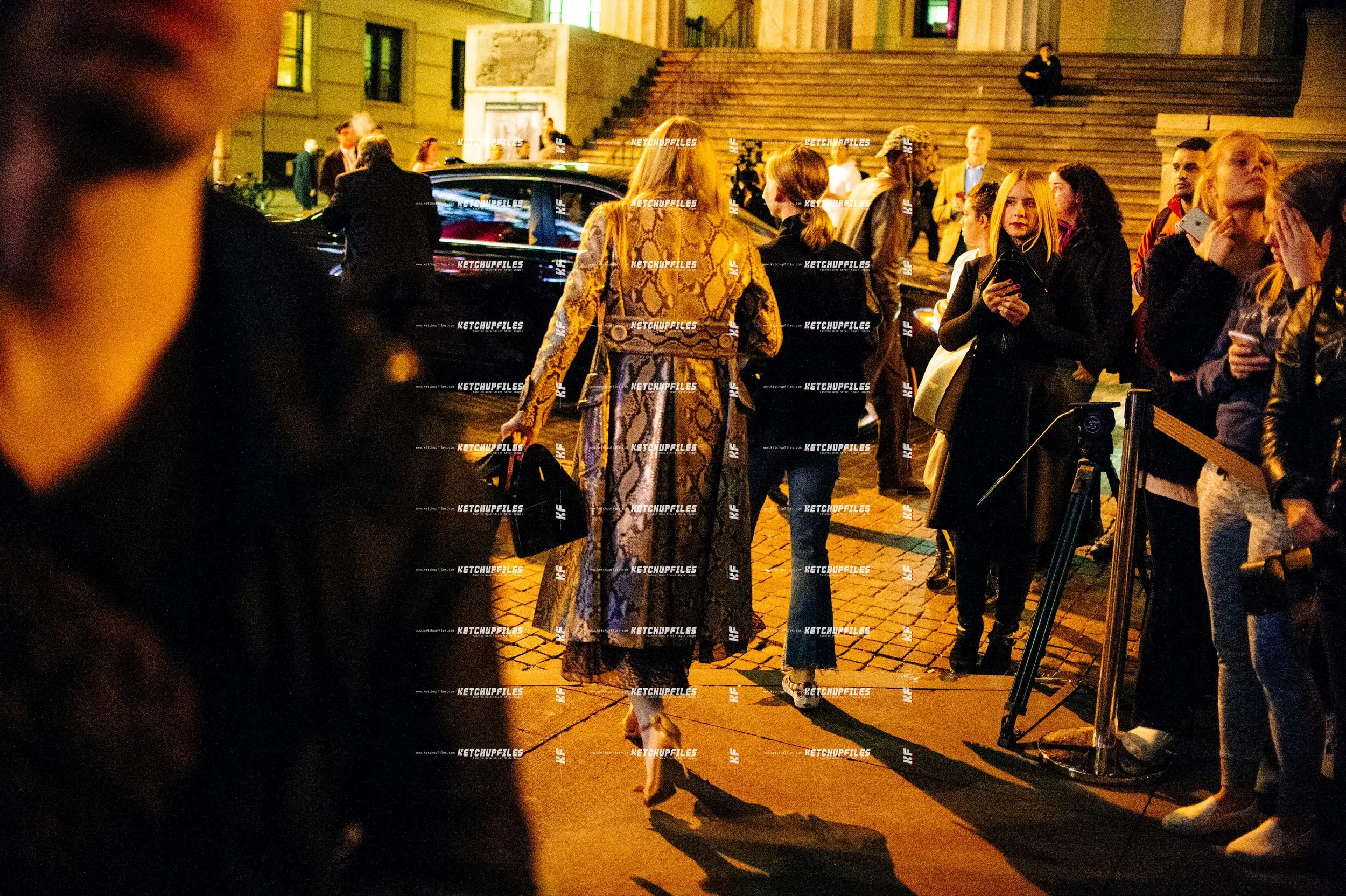 street style BALMAIN & HM Collection 2024-10-10 at 4.55.11 PM 7.jpg