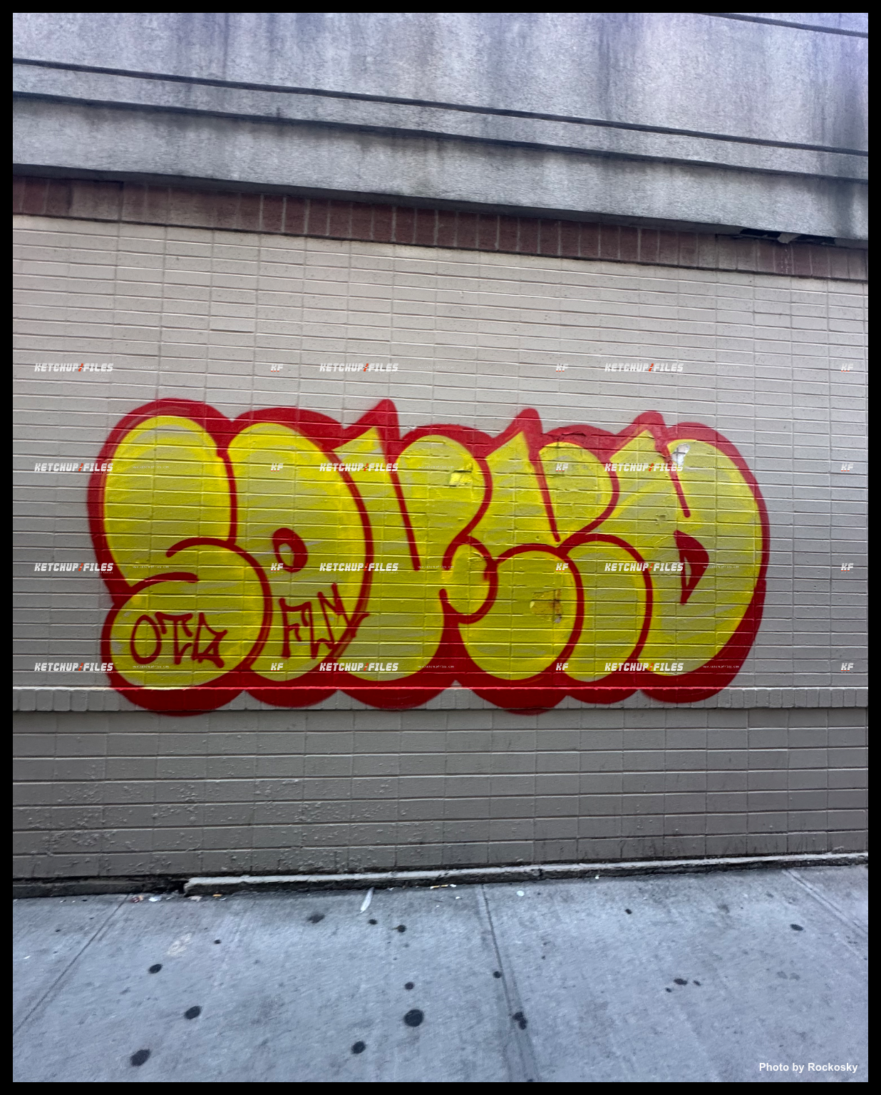 1787600140308-0-IMG_4929.png