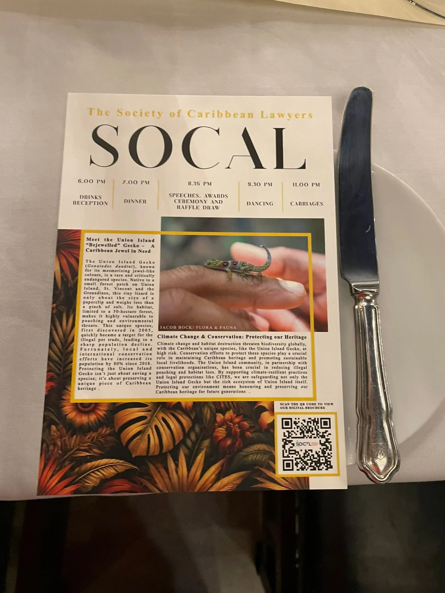 WhatsApp Image 2026-04-26 at 9.04.09 AM.jpeg