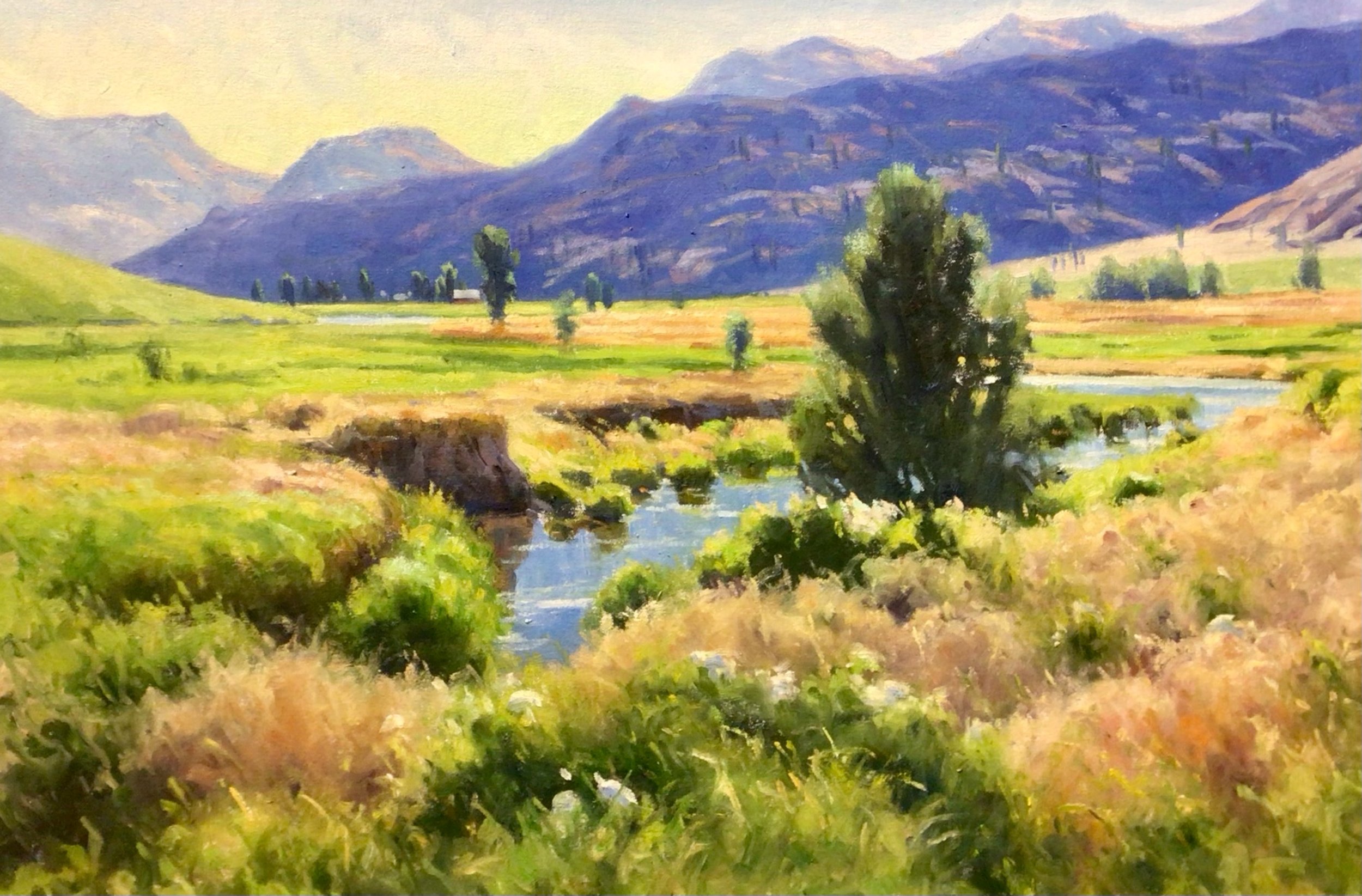 Palmer, 20 x 30