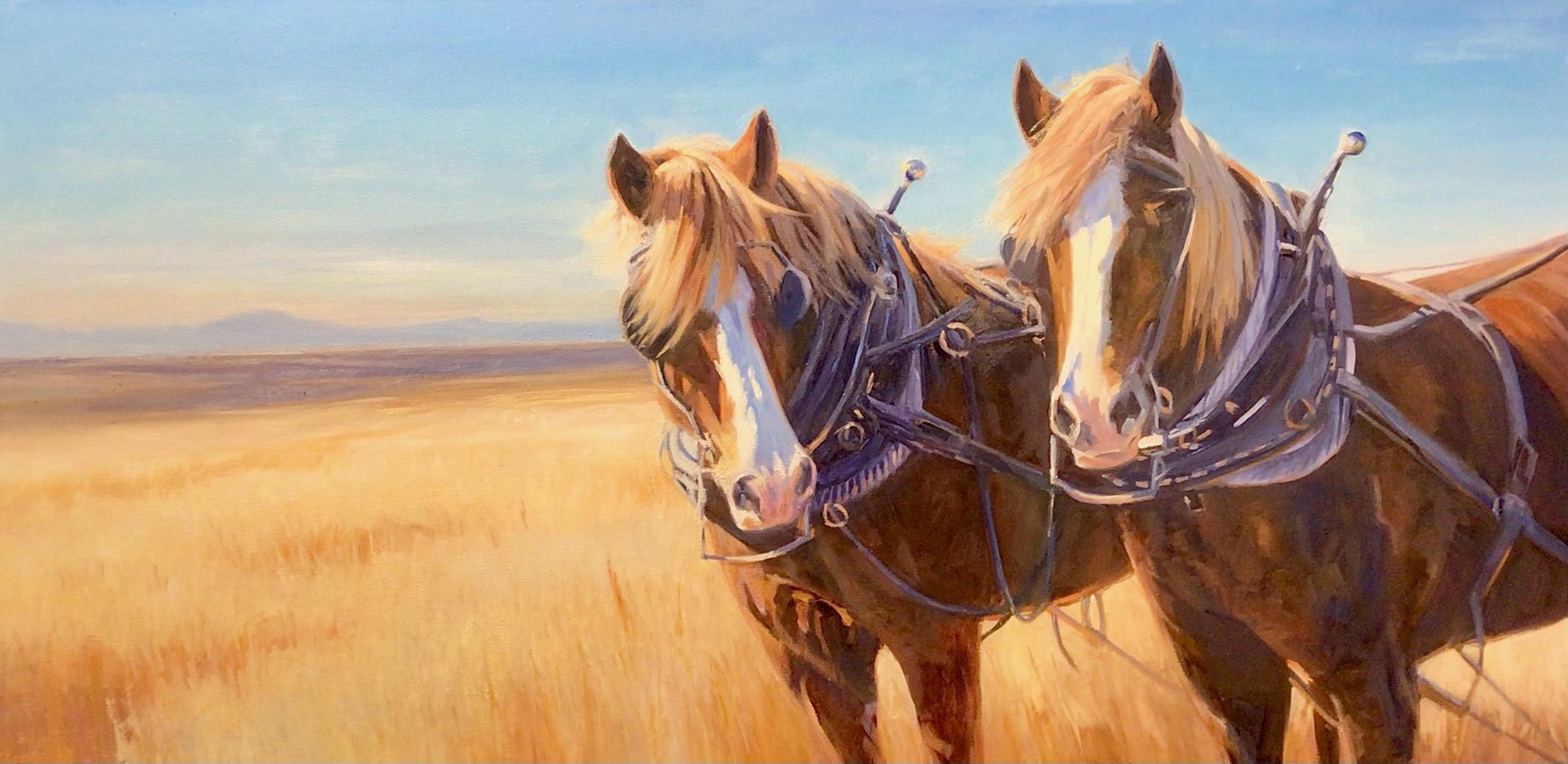 Team on the Plateau, 24x48
