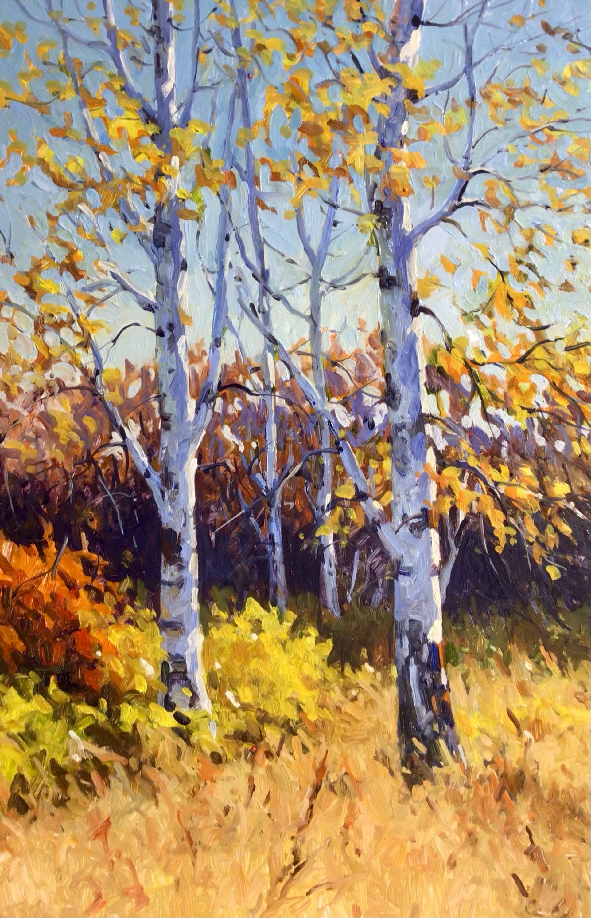 (SOLD) Aspens, 24x16